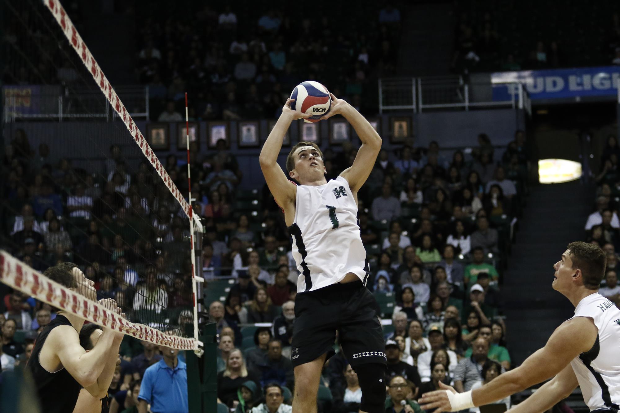 Joe Worsley Men's Volleyball University of Hawai'i at Manoa Athletics