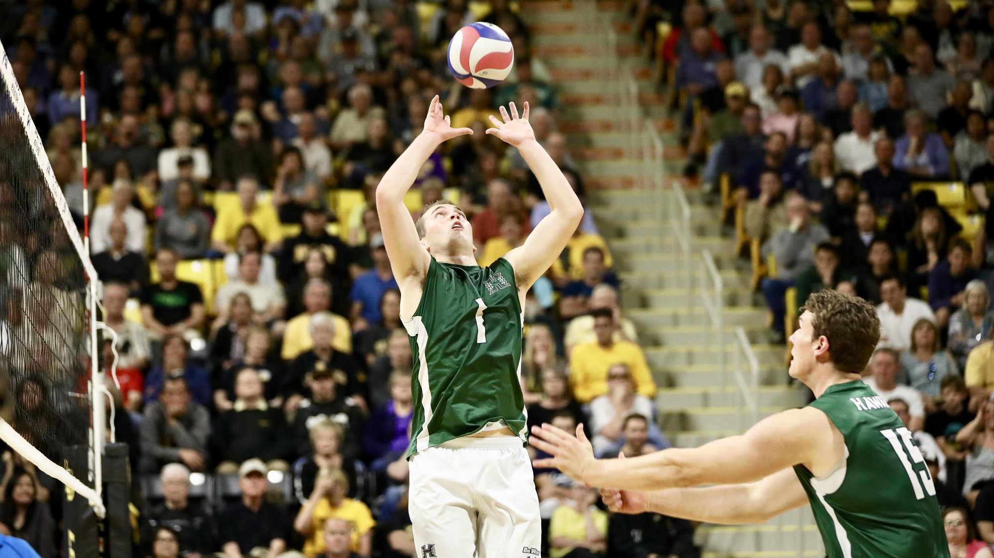 Joe Worsley Men's Volleyball University of Hawai'i at Manoa Athletics
