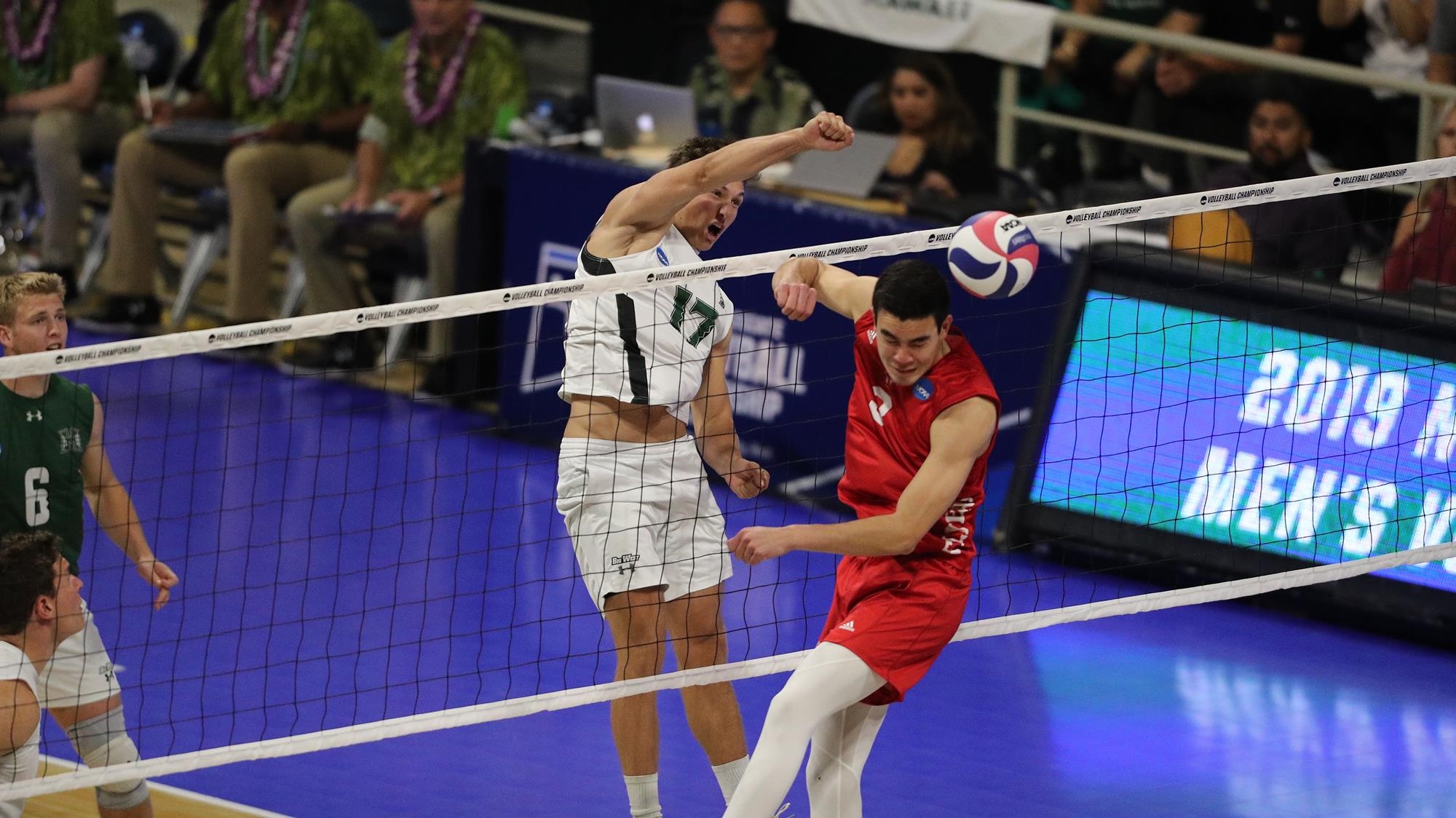Men's Volleyball Downs Lewis To Punch Ticket Into NCAA Championship