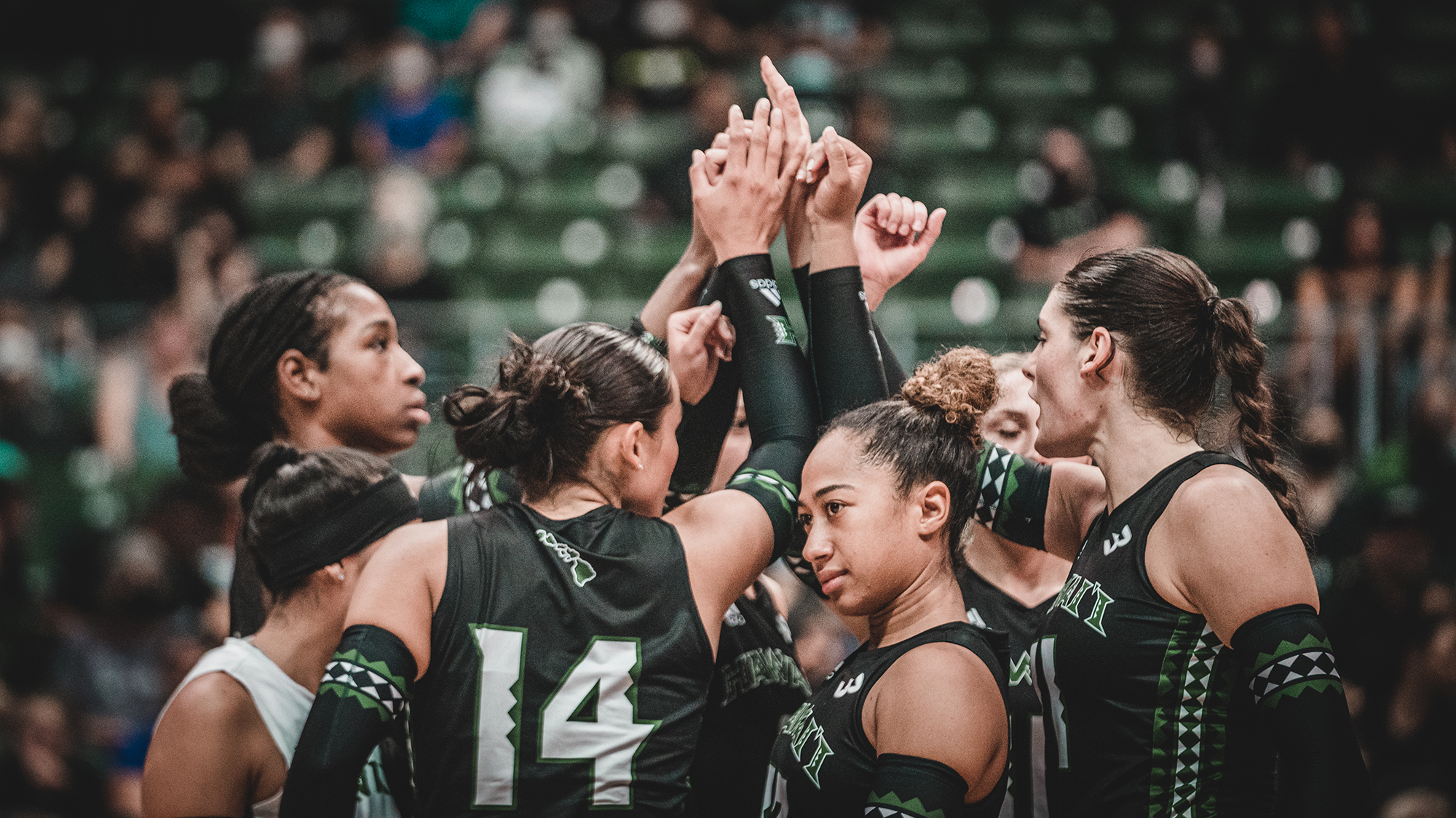 Braelyn Akana Women's Volleyball University of Hawai'i at Manoa
