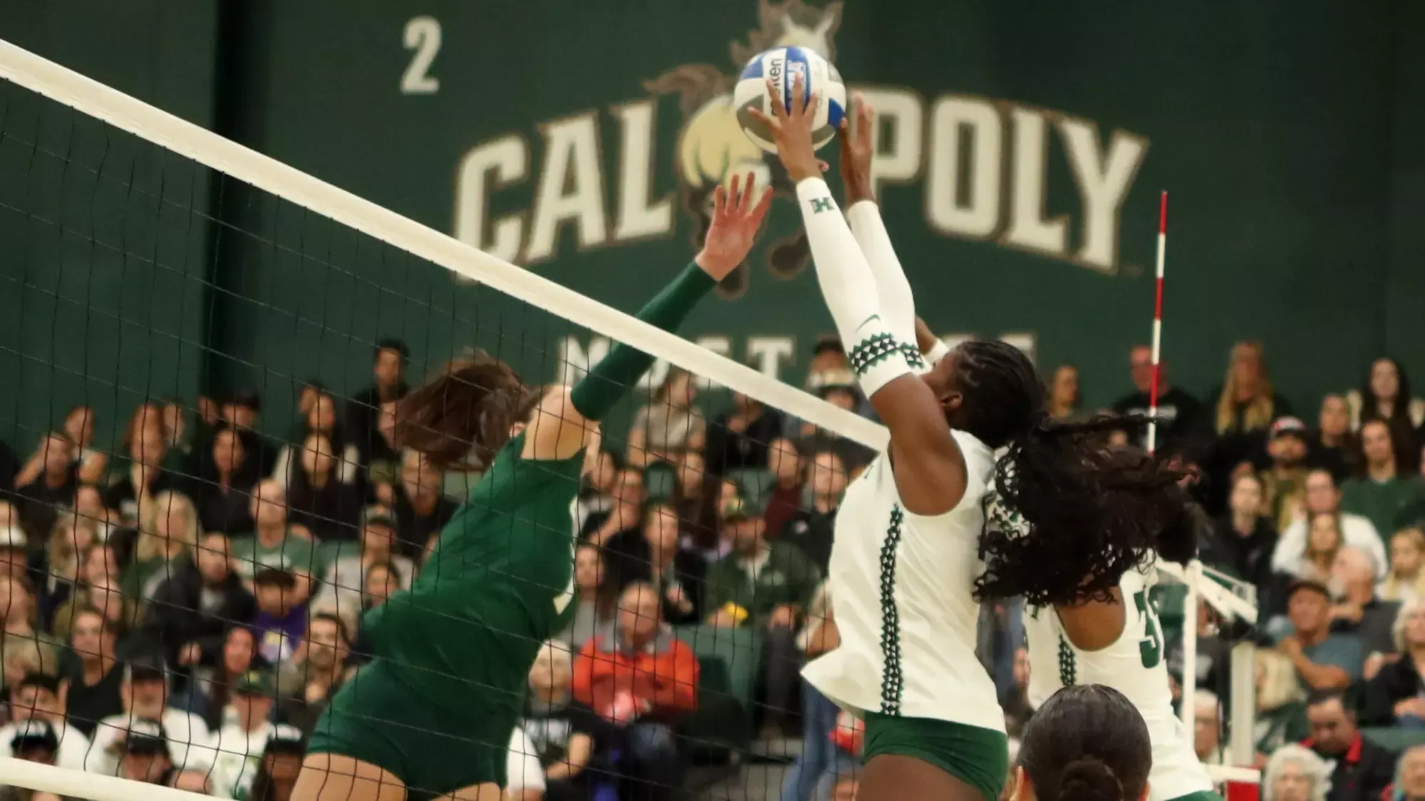 WVB Miliana Sylvester at Cal Poly