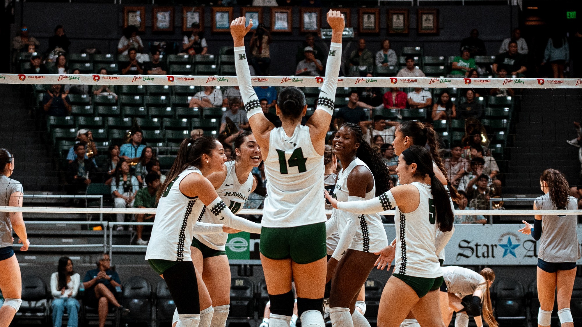 WVB group vs. UC San Diego