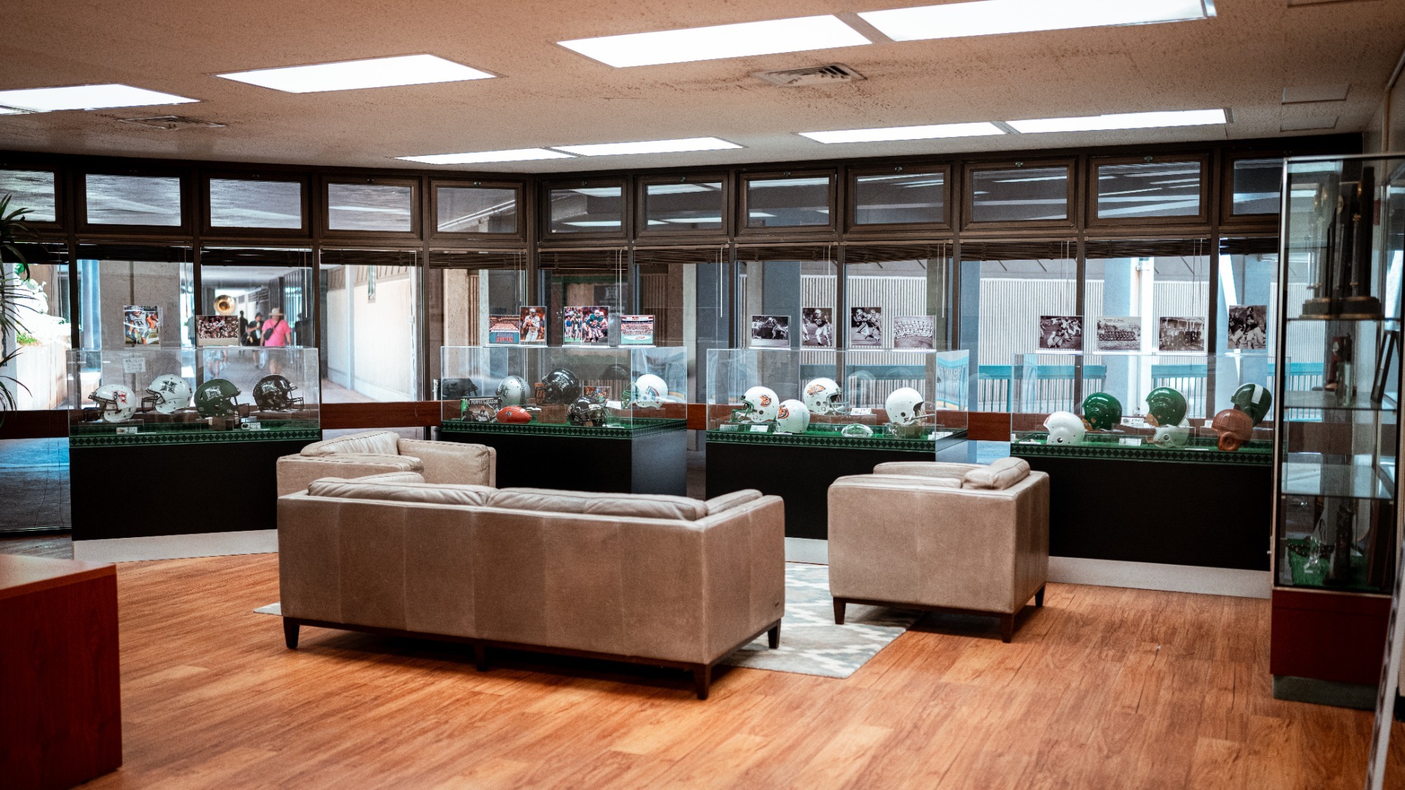 Football Helmet Display