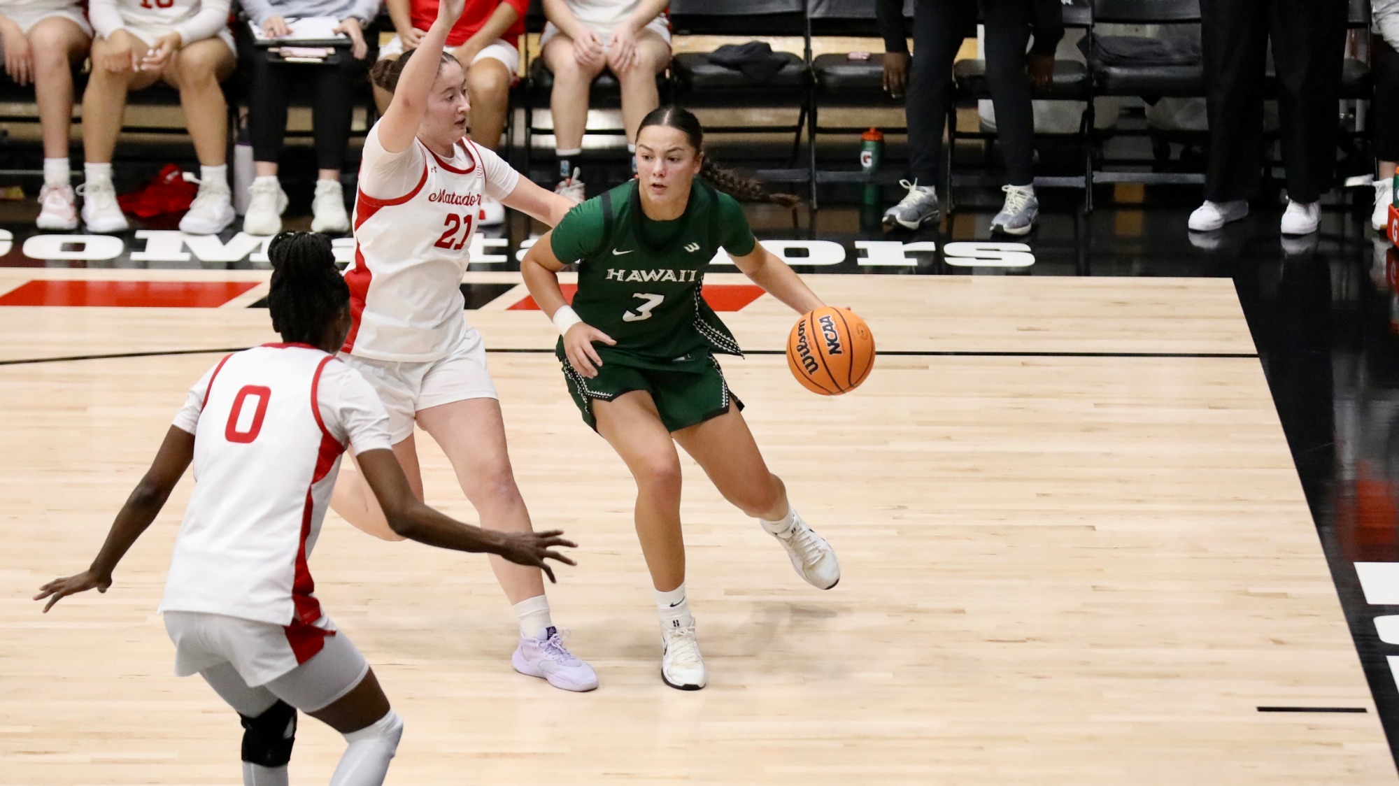 WBB Bailey Flavell at CSUN