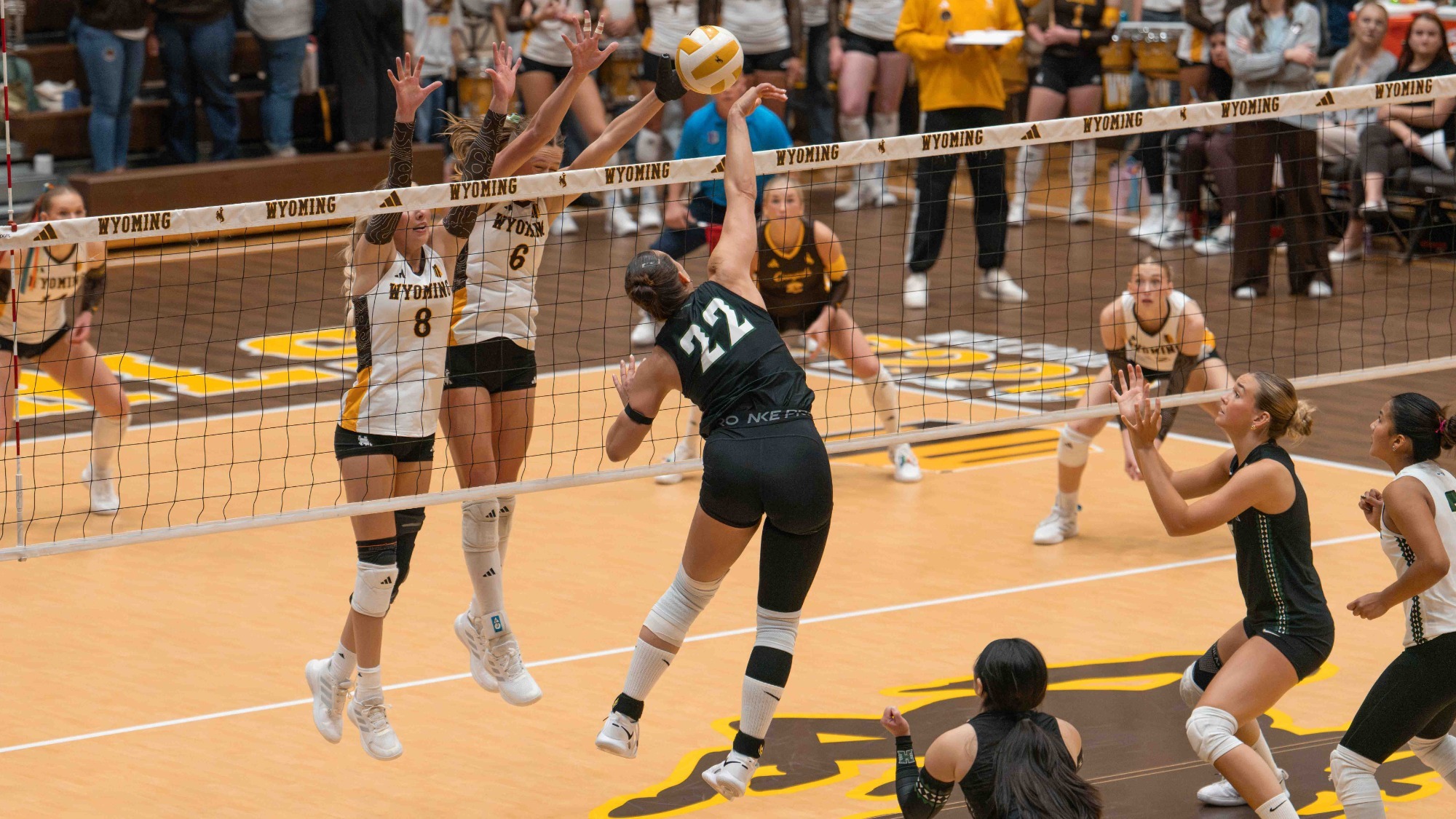 WVB Panna Ratkai at Wyoming
