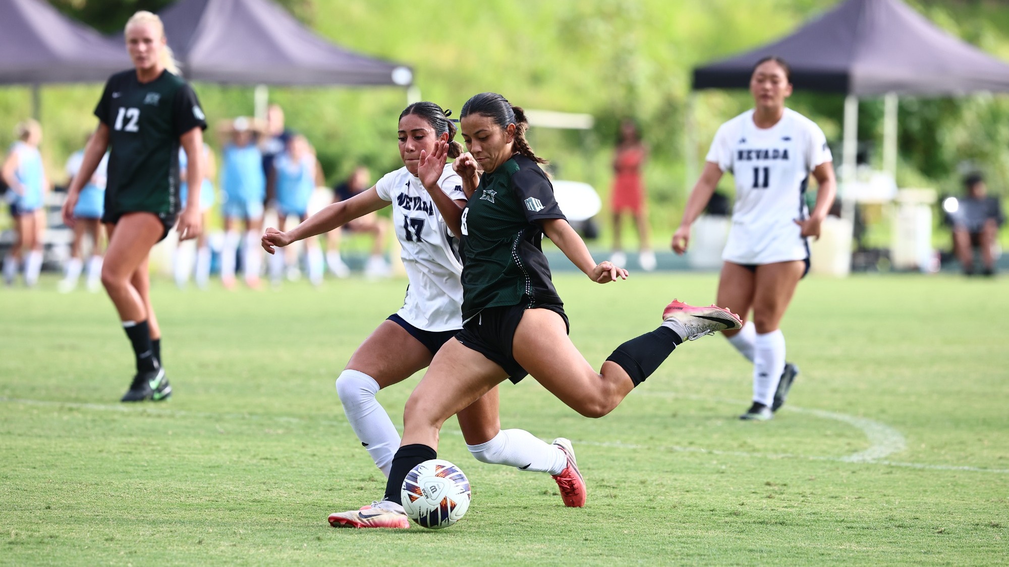 Olivia Dianda vs. Nevada