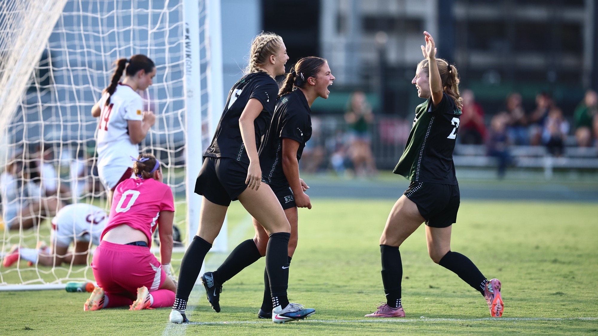 Group vs. New Mexico State