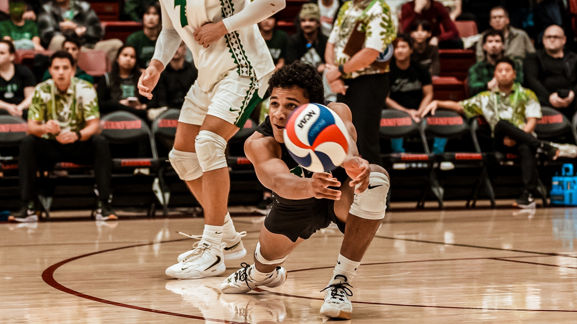 Quintin Greenidge dig vs. Stanford
