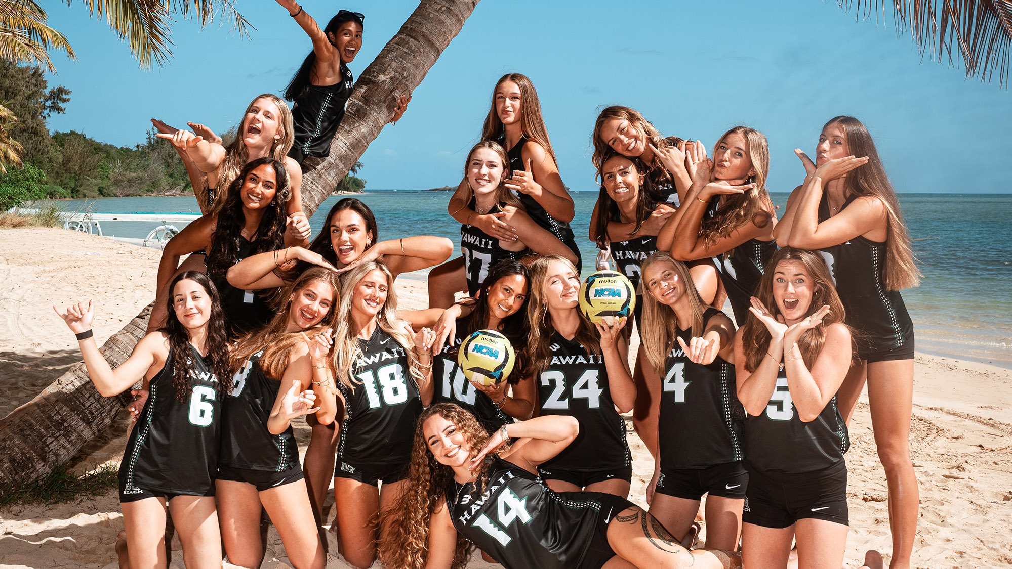 Beach VB team 2026