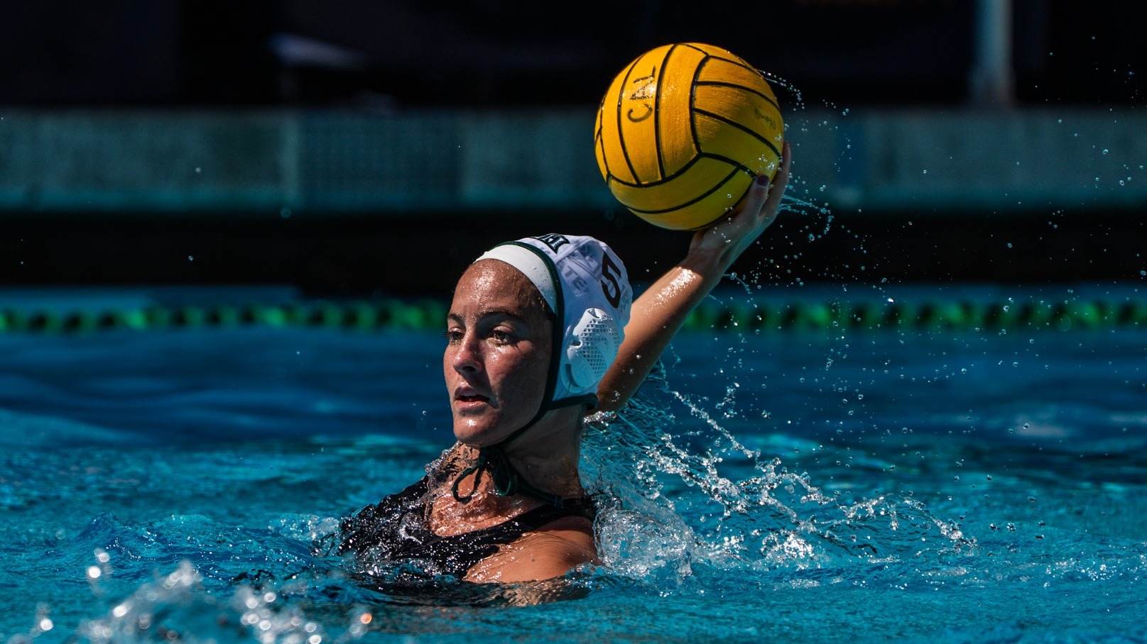 Roni Perlman vs. Cal (3/15/26)