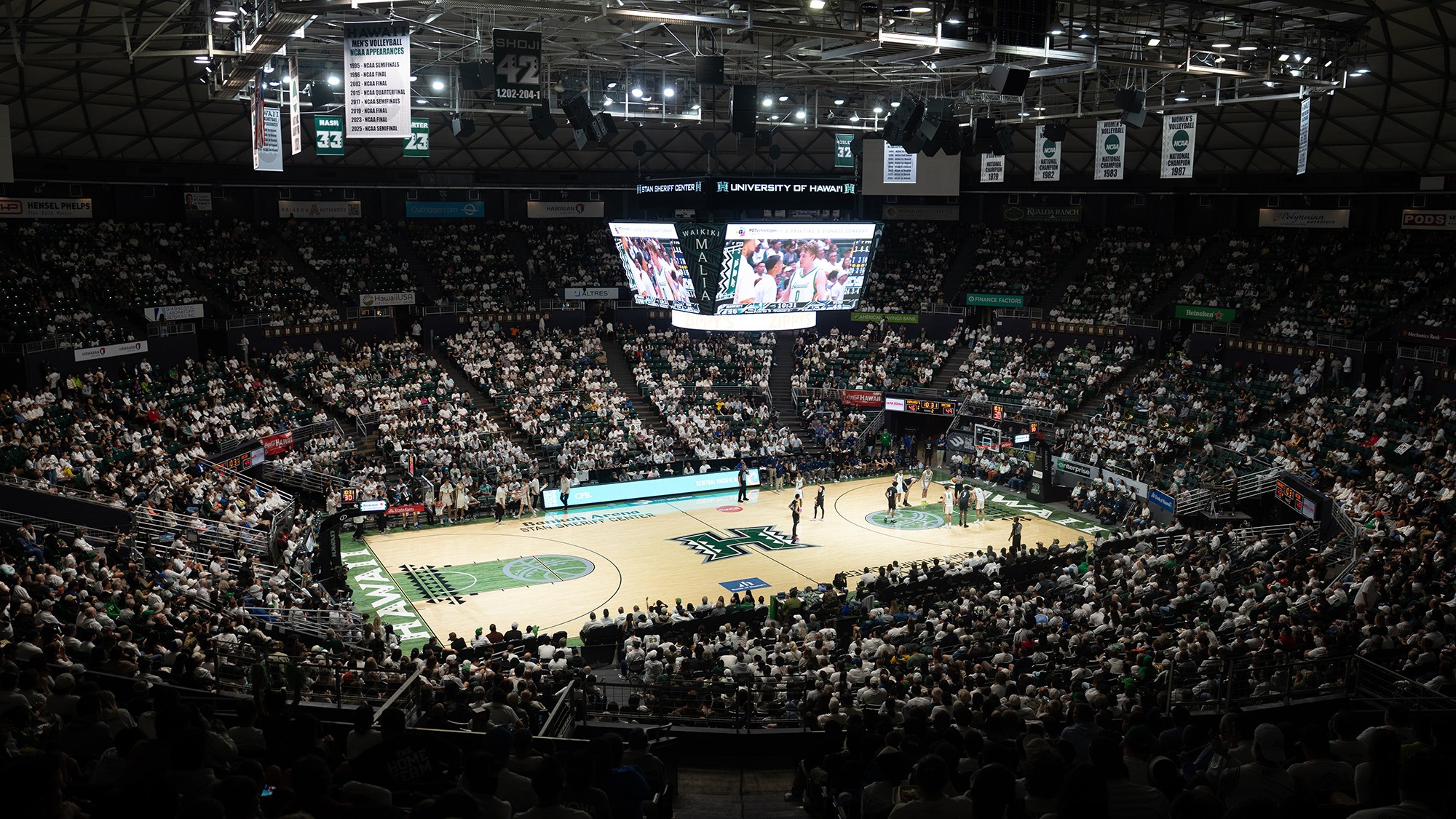 Arena Whiteout 2026