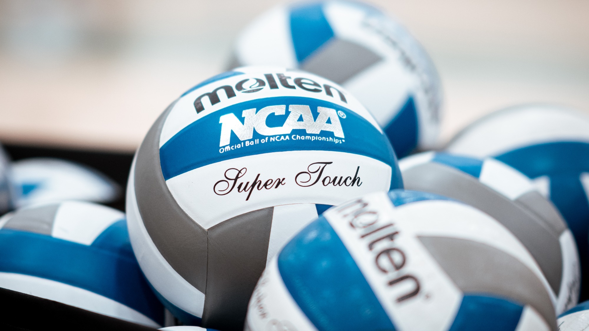 WVB volleyballs