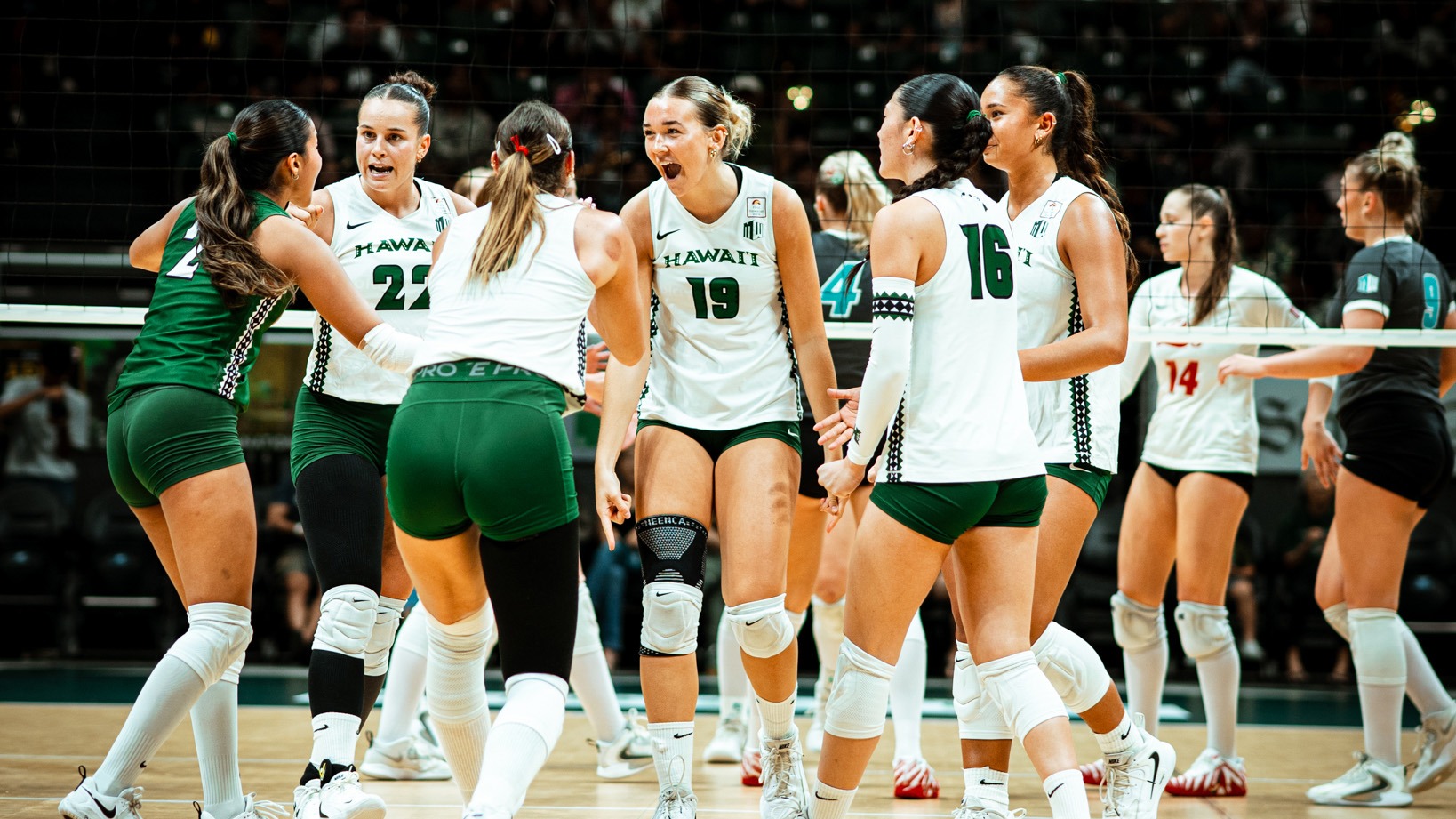 WVB group vs. New Mexico