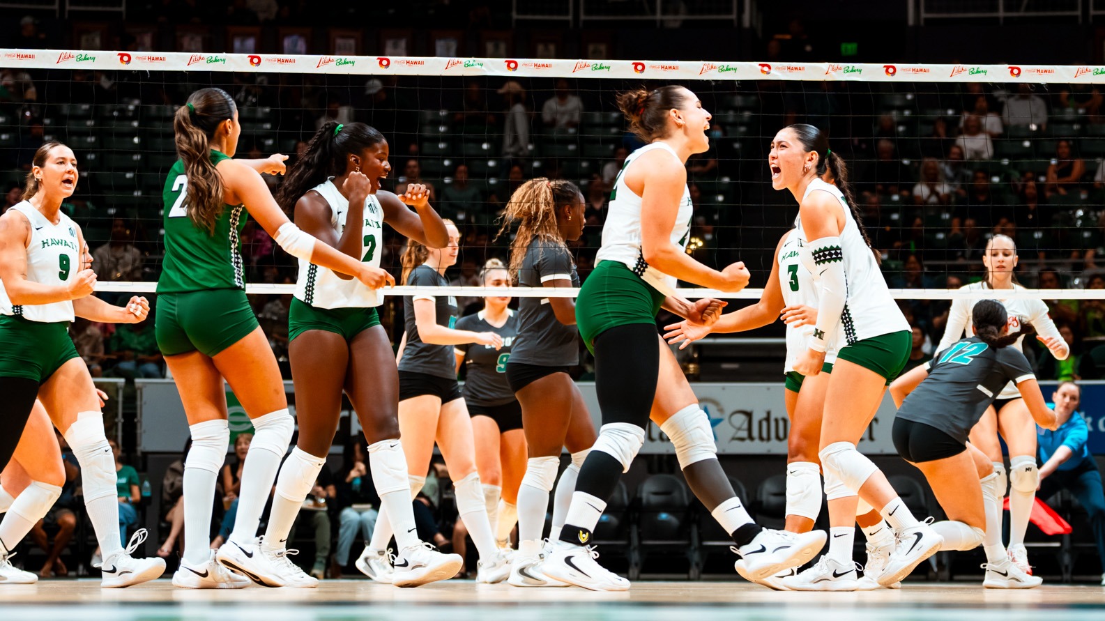WVB celebration vs. New Mexico