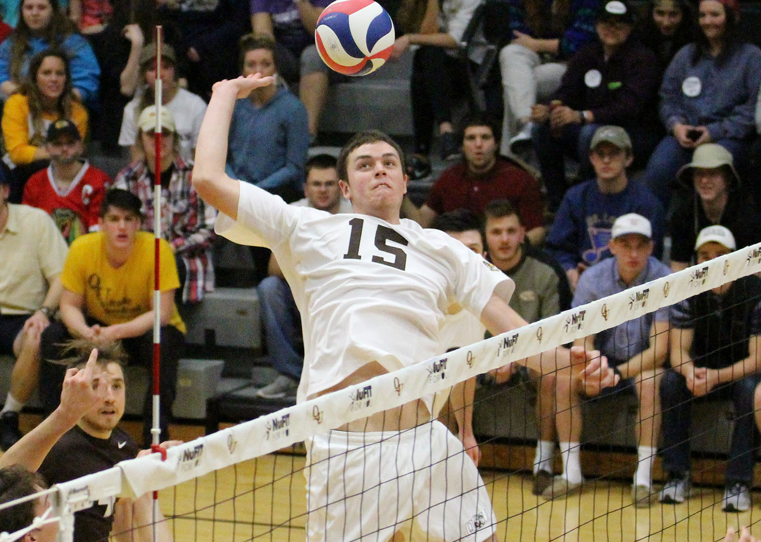 Jacob Sheets Men's Volleyball Quincy University Athletics