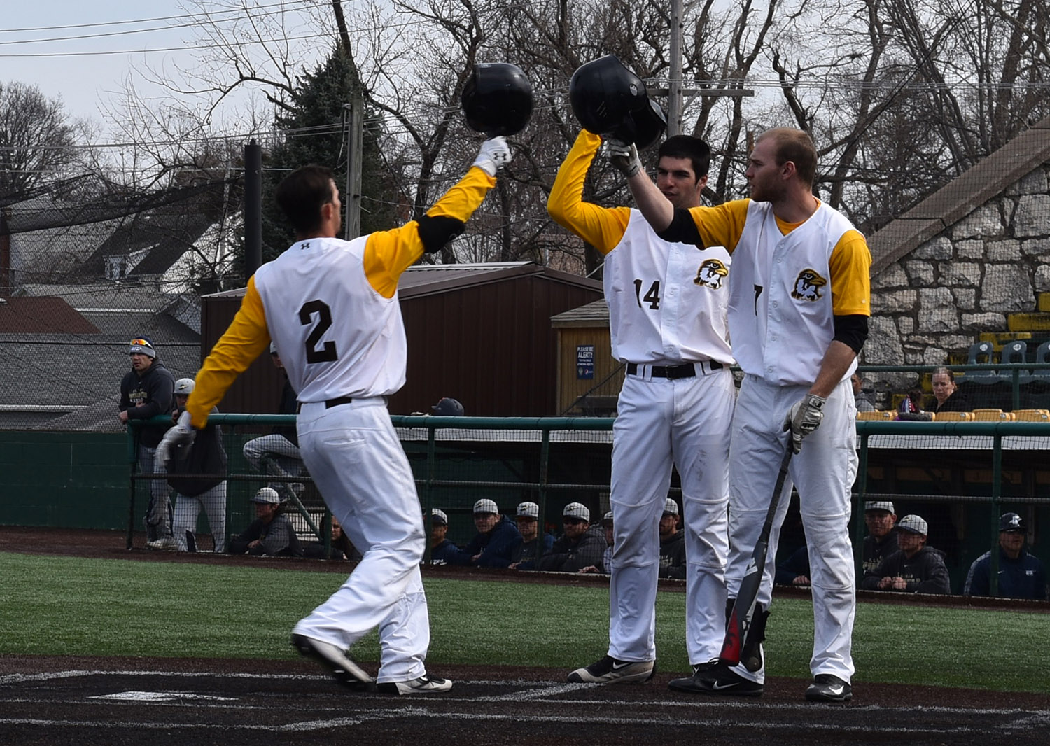 Brynn Martinez Baseball Quincy University Athletics