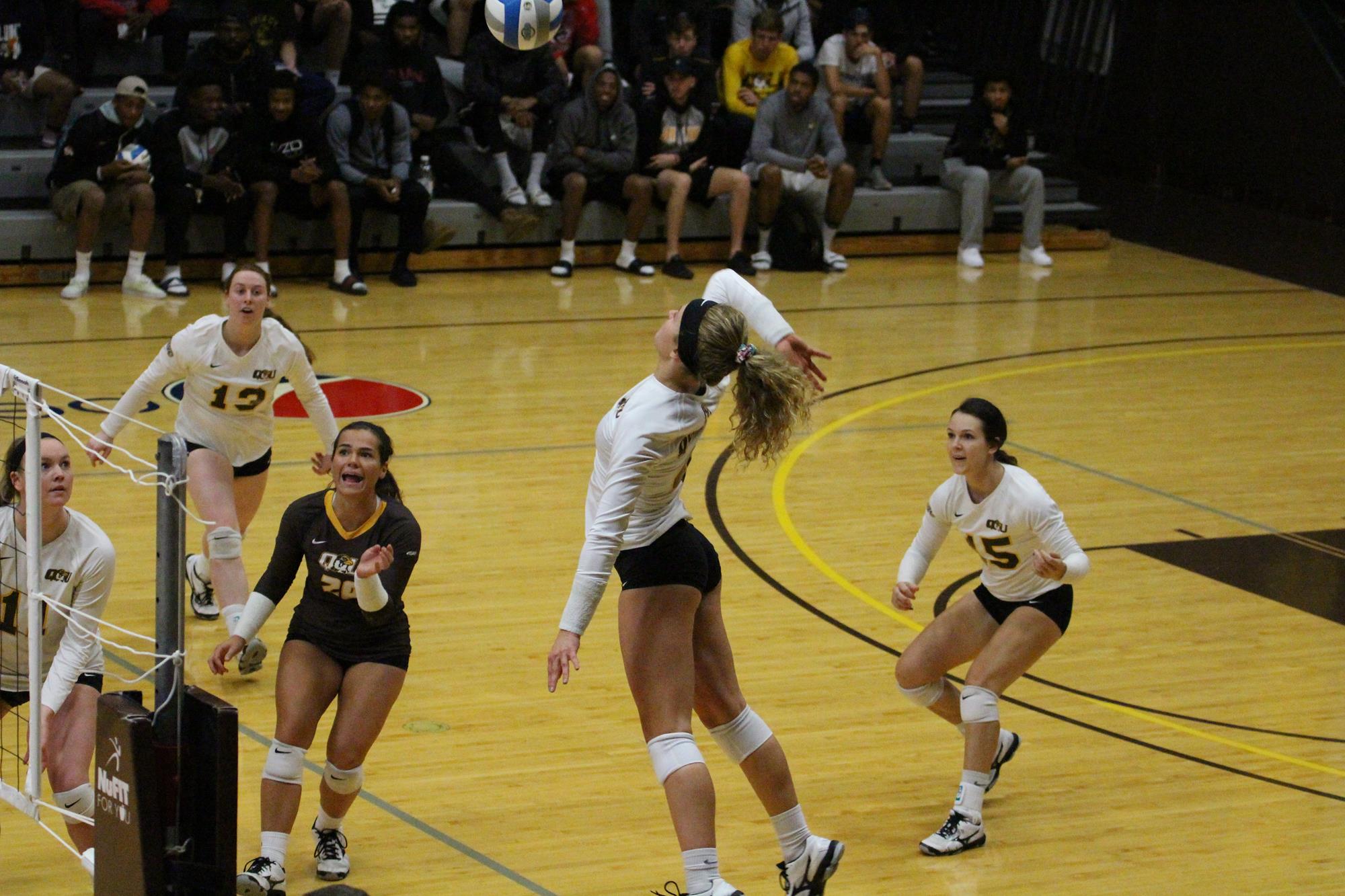 Timberlyn Women's Volleyball Quincy University Athletics