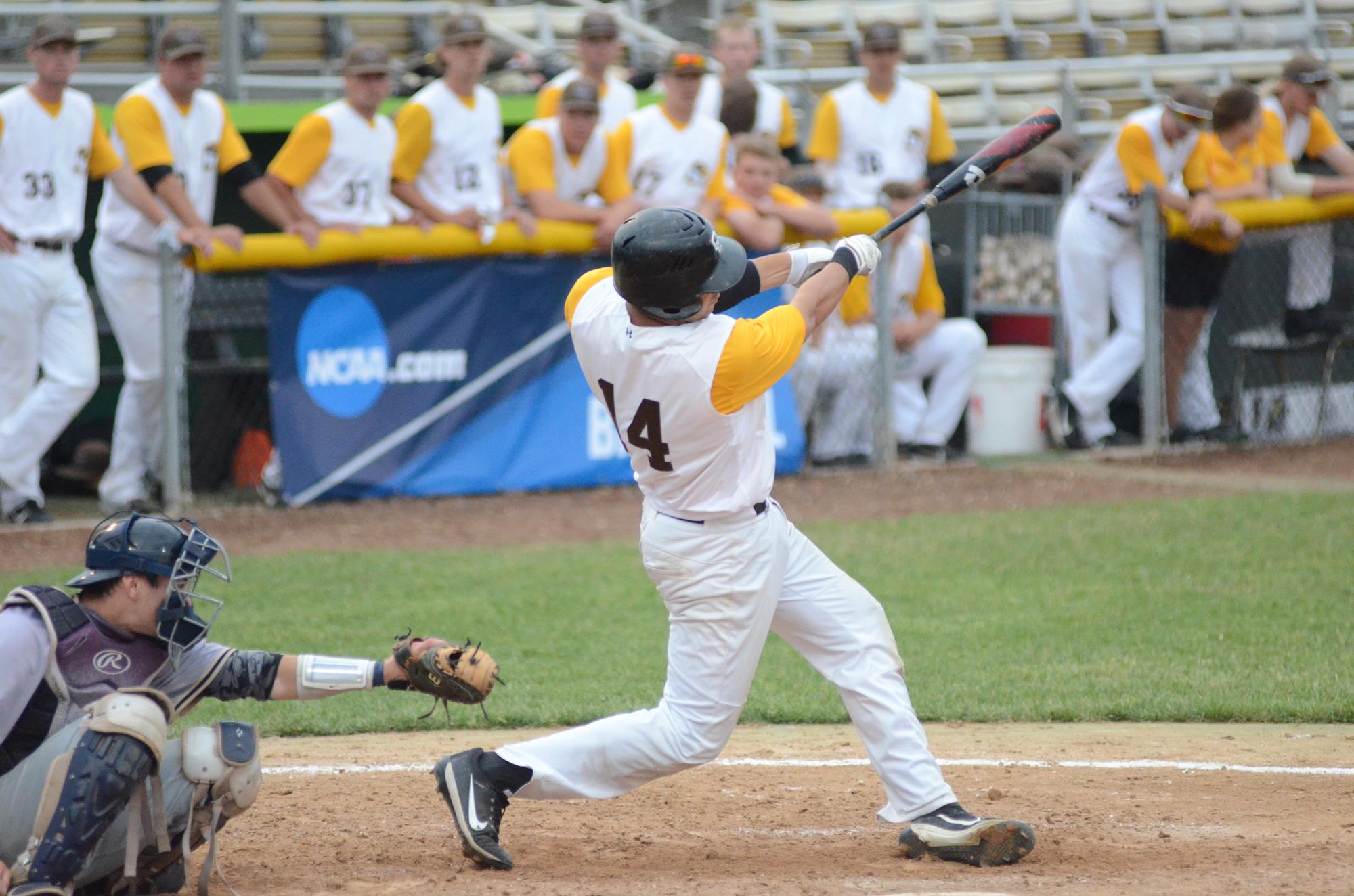 TJ Tamaccio Baseball Quincy University Athletics