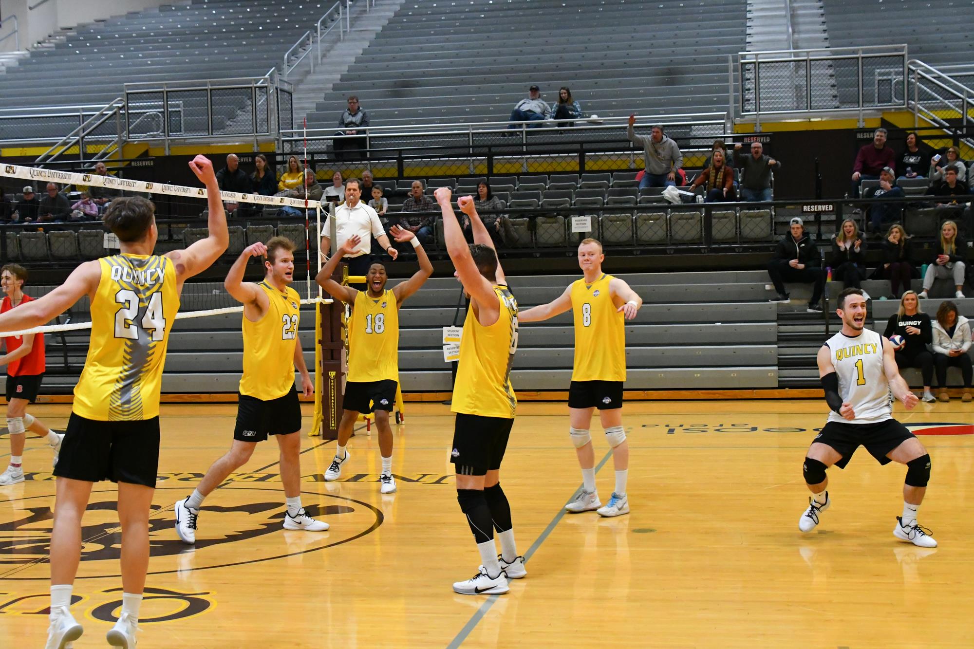 Eddie Jakubauskas Men's Volleyball Quincy University Athletics