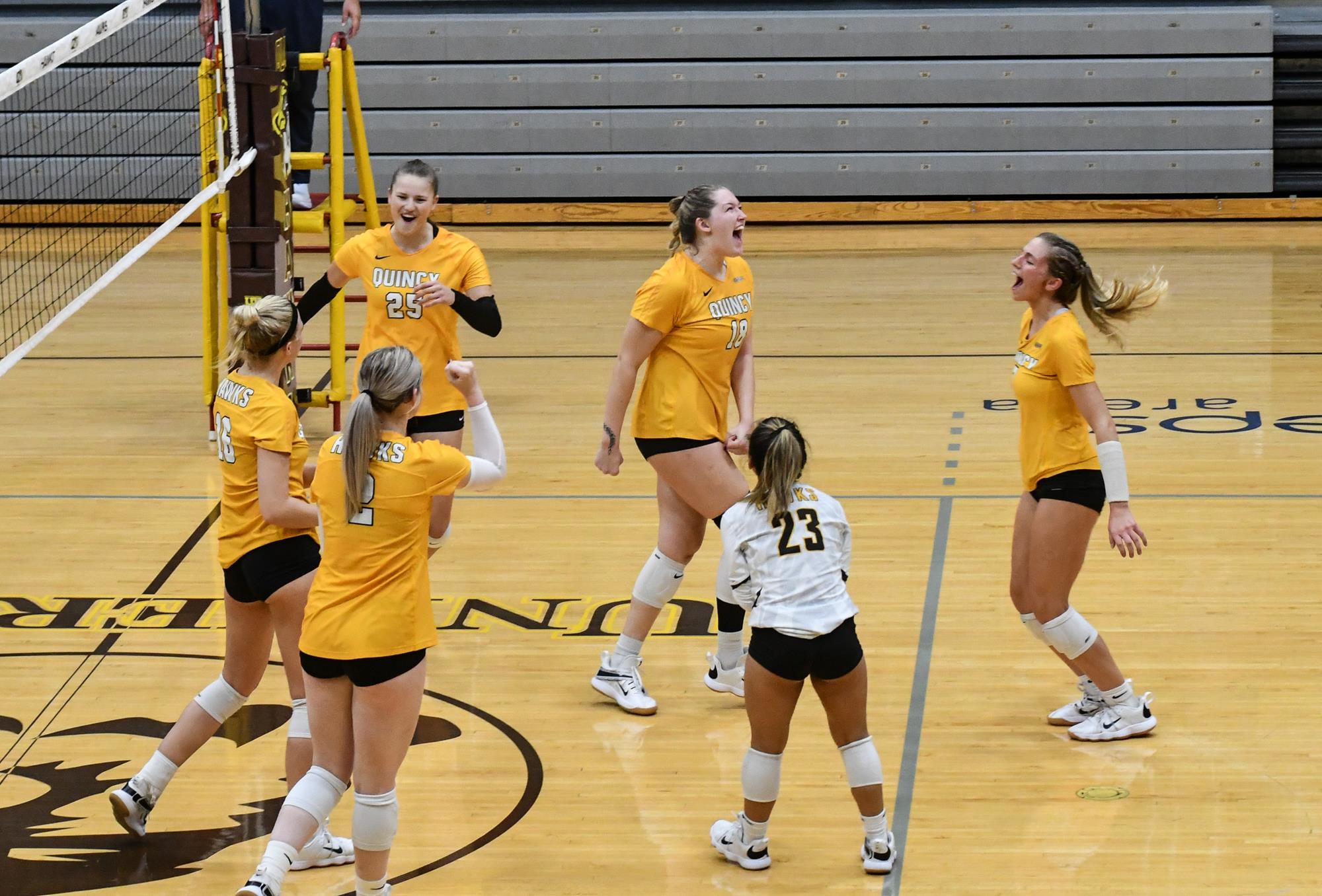 Emma Wijnbergen Women's Volleyball Quincy University Athletics