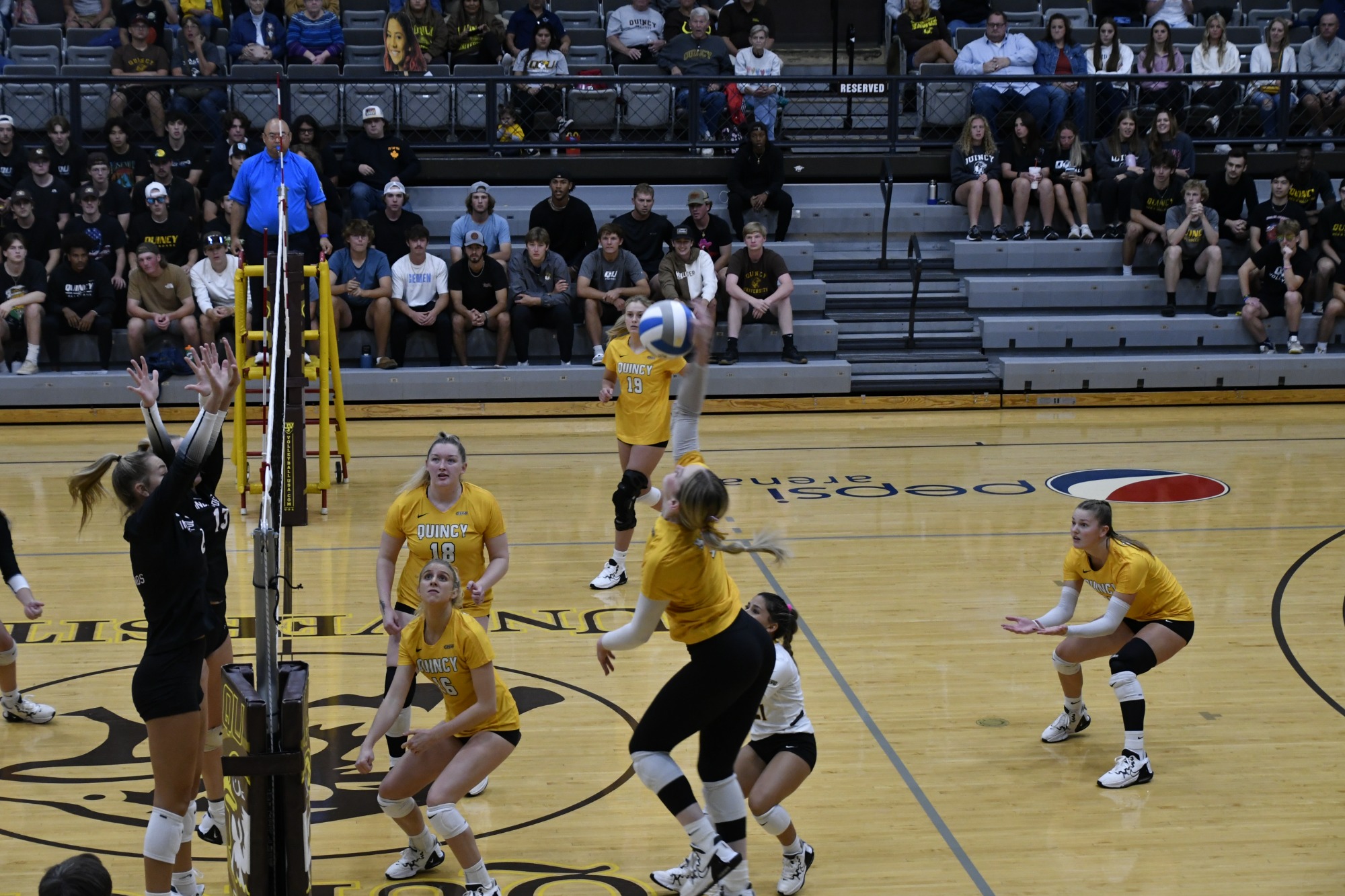 Mattison Norris Women's Volleyball Quincy University Athletics