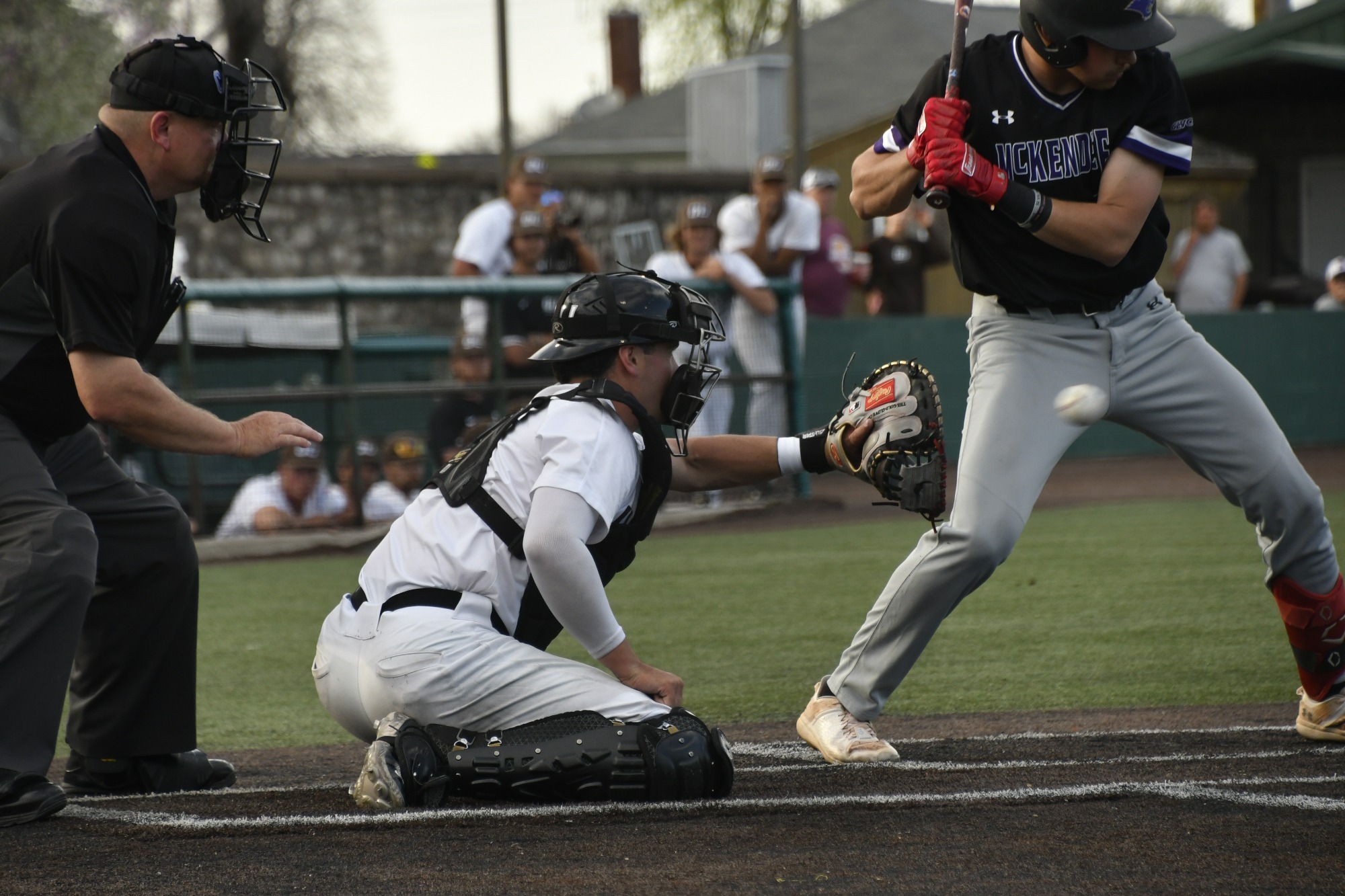 Luke Napleton Baseball Quincy University Athletics