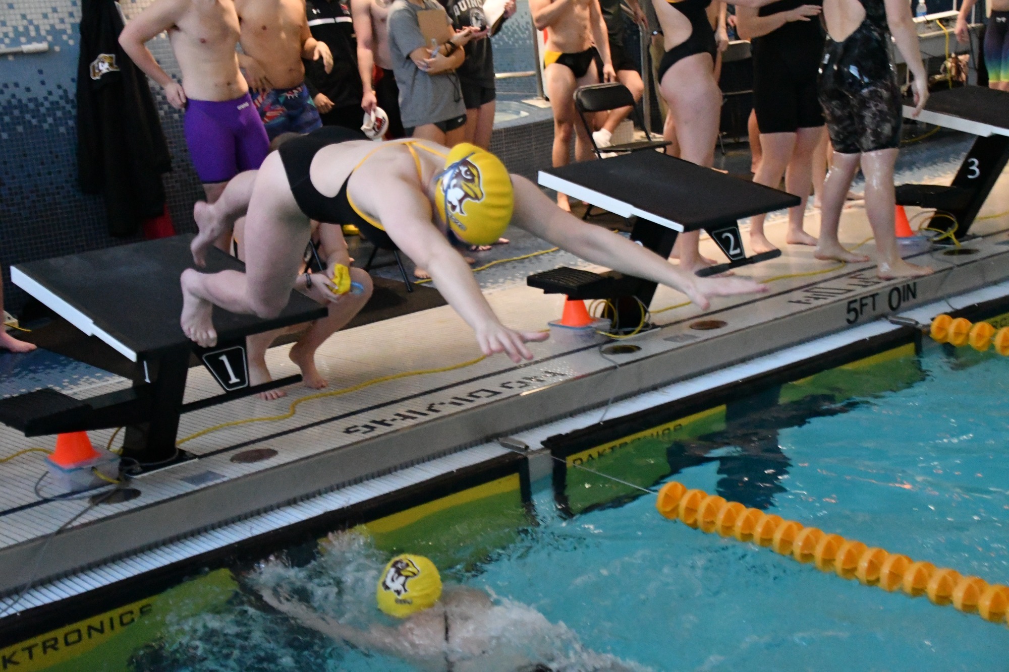 The Hawks jump into the pool. 