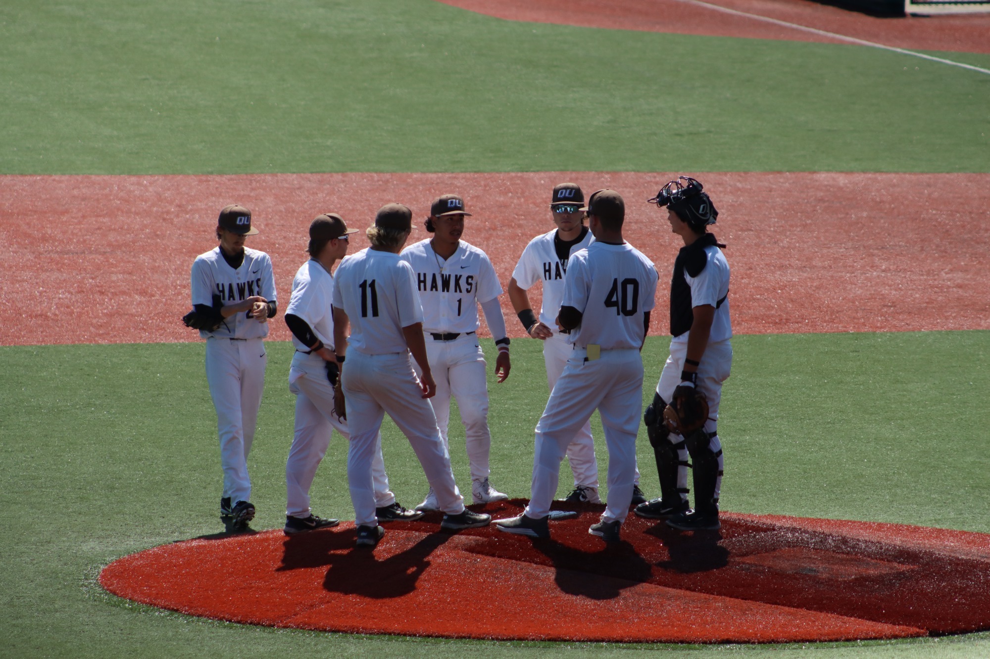 Hawk meeting on the mound