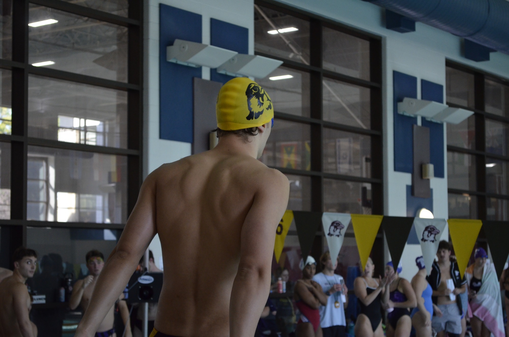 Men's Swimming