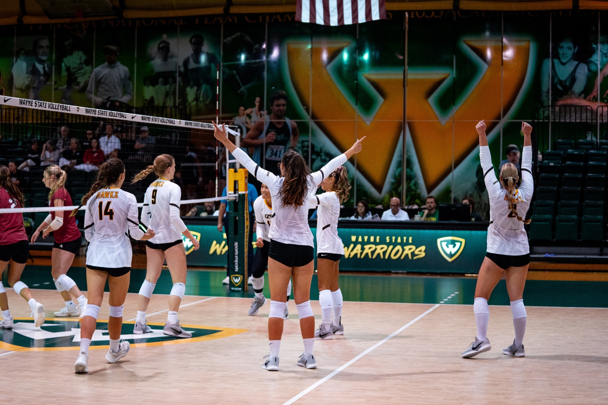 WVB Team