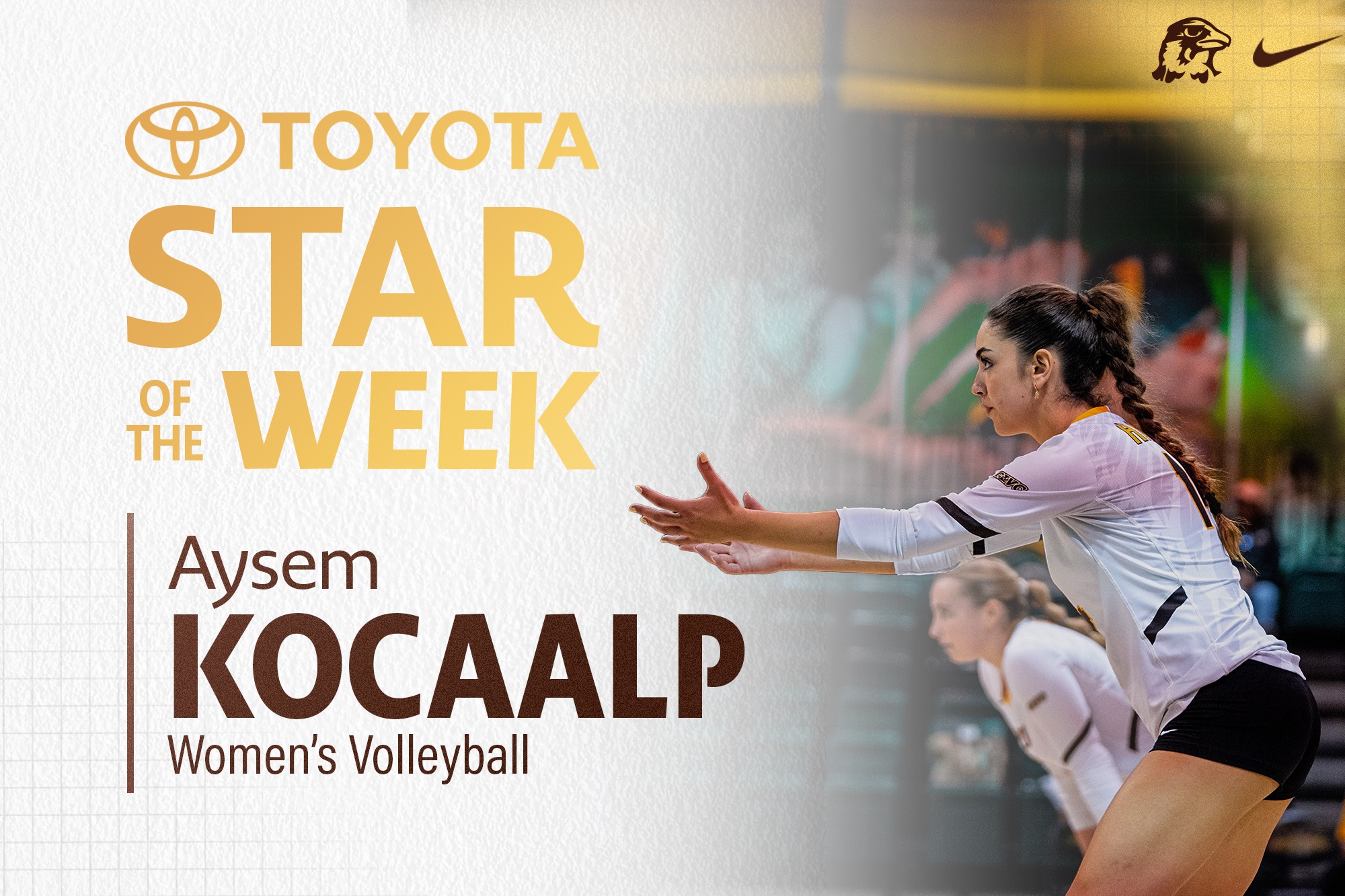 Aysem Kocaalp