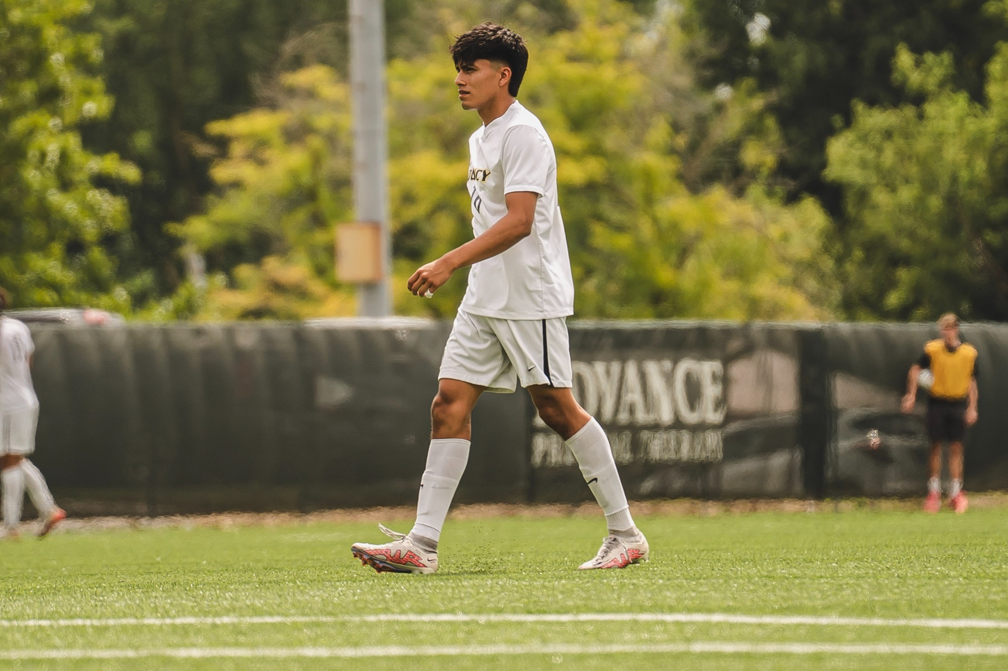 Brandon Ibarra