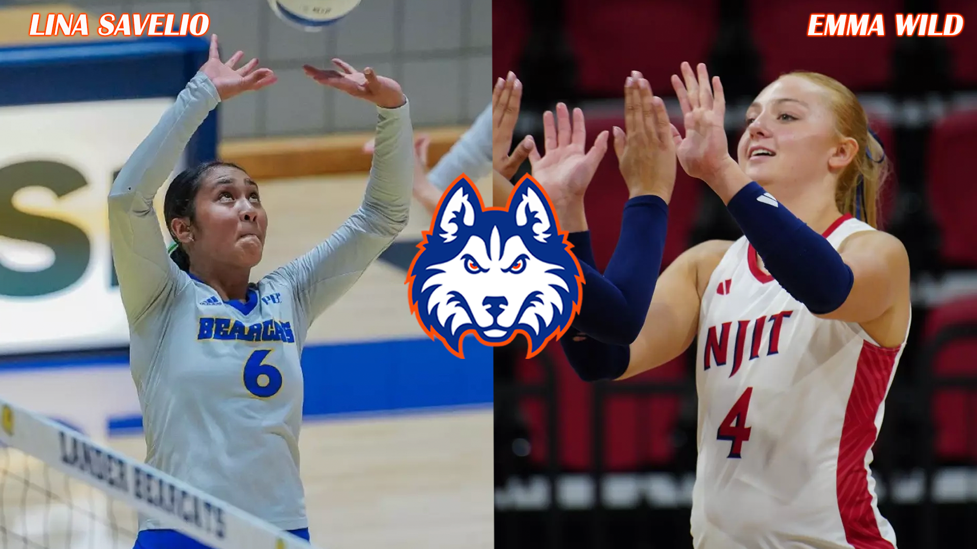 VB: 2026 January Signings (Transfers)