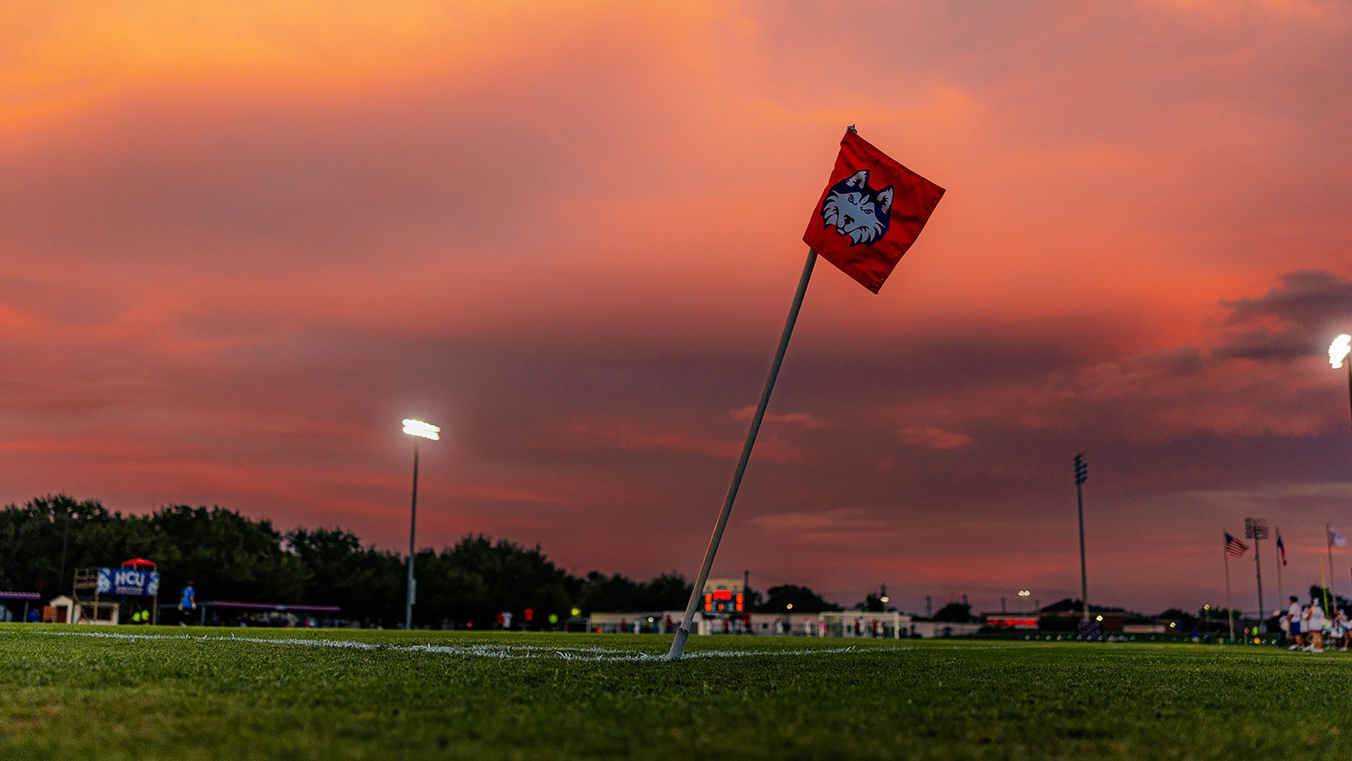 Sorrels Field - Flag Sunset