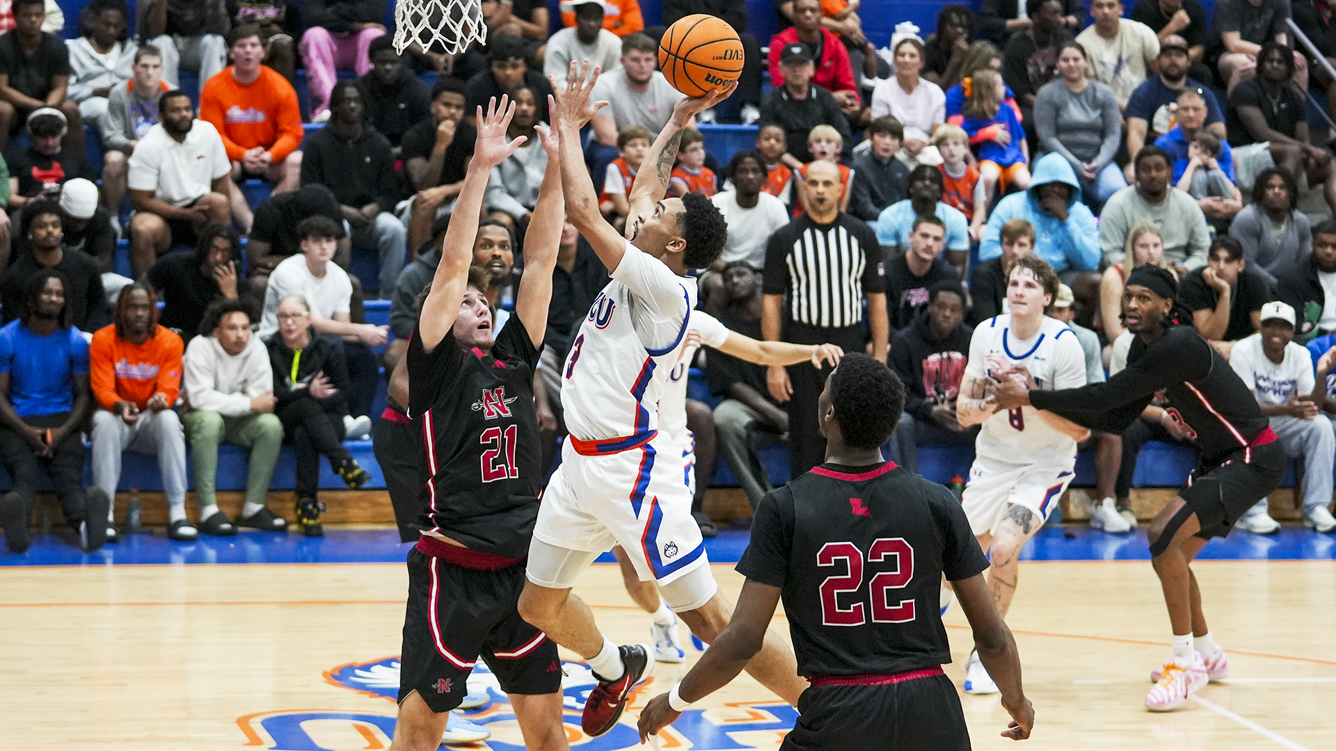 03 - Kylin Green (Nicholls)