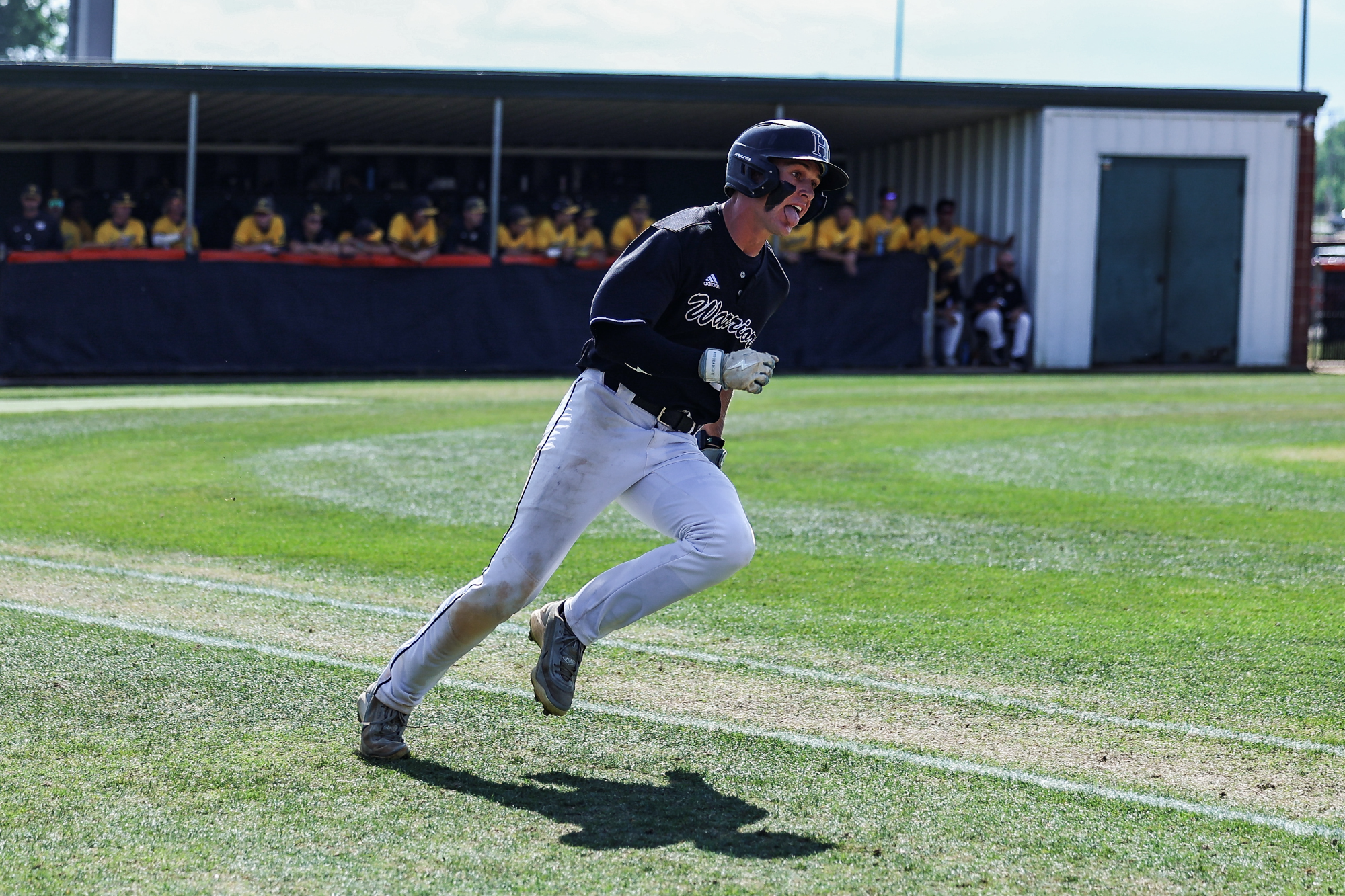 2026 baseball vs tlu