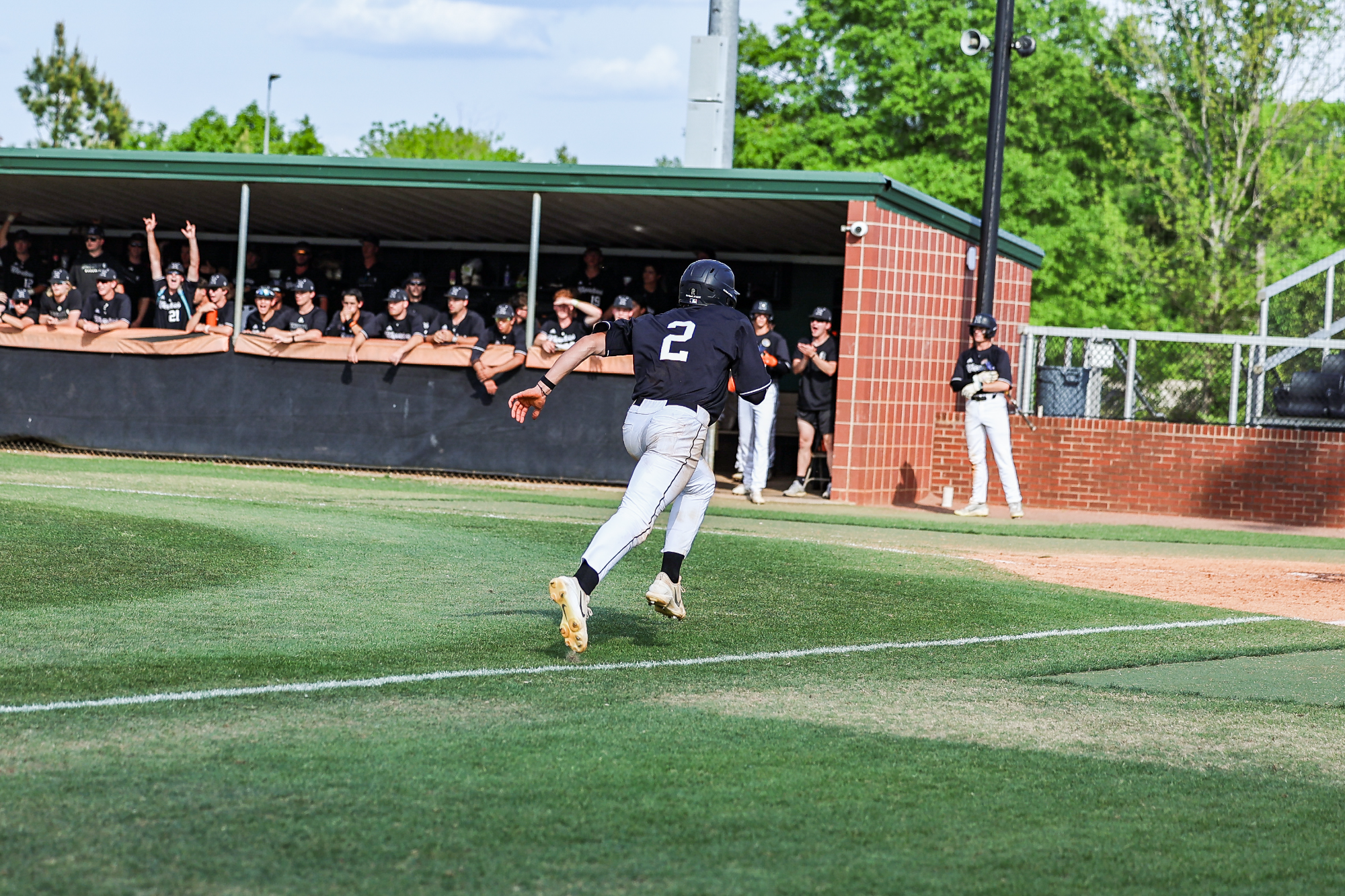 2026 baseball vs tlu