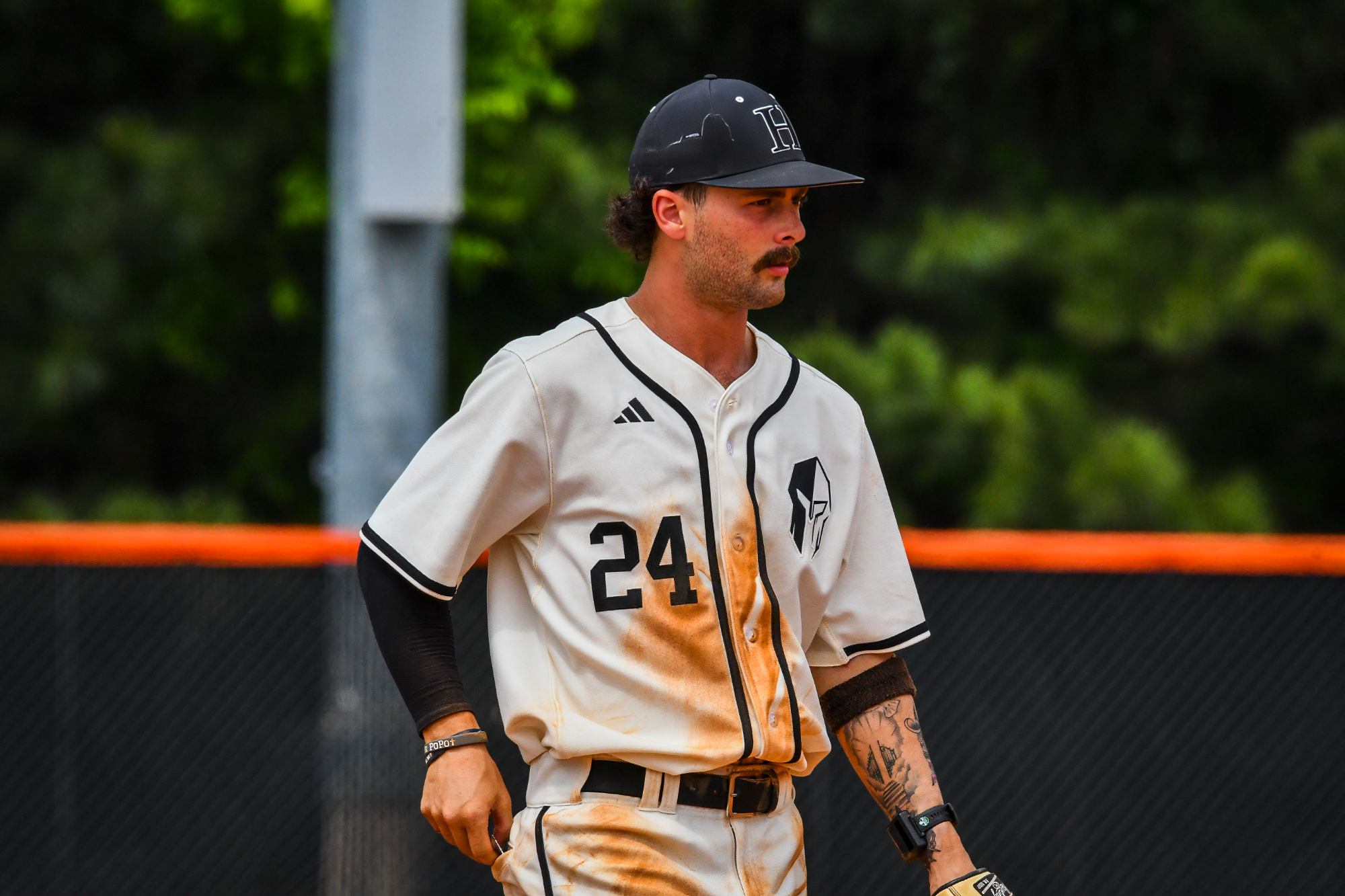 baseball 2026 senior day vs Austin College