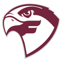 Opponent Logo