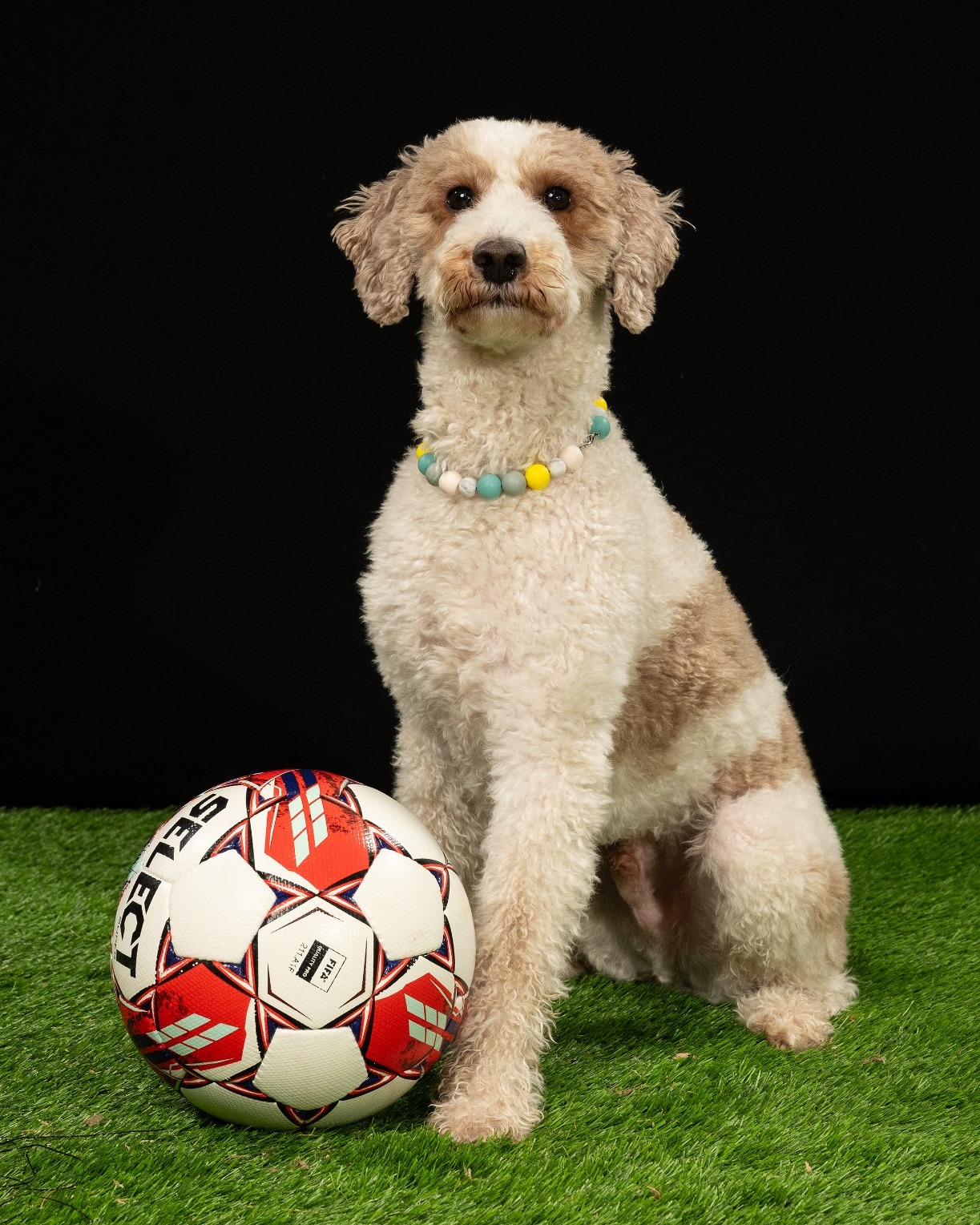 Gus Brewster Soccer Headshot 2026