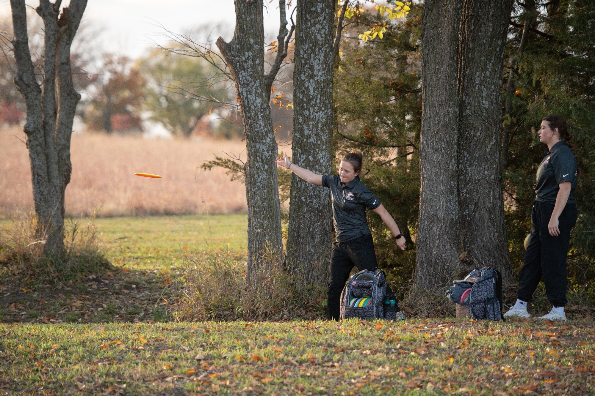 Disc Golf Lawrence, Kansas