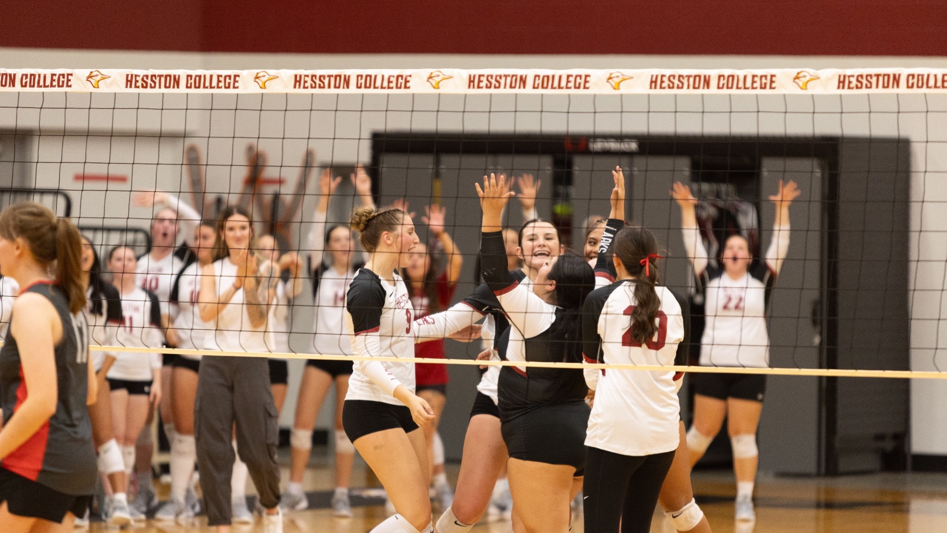 VB Action