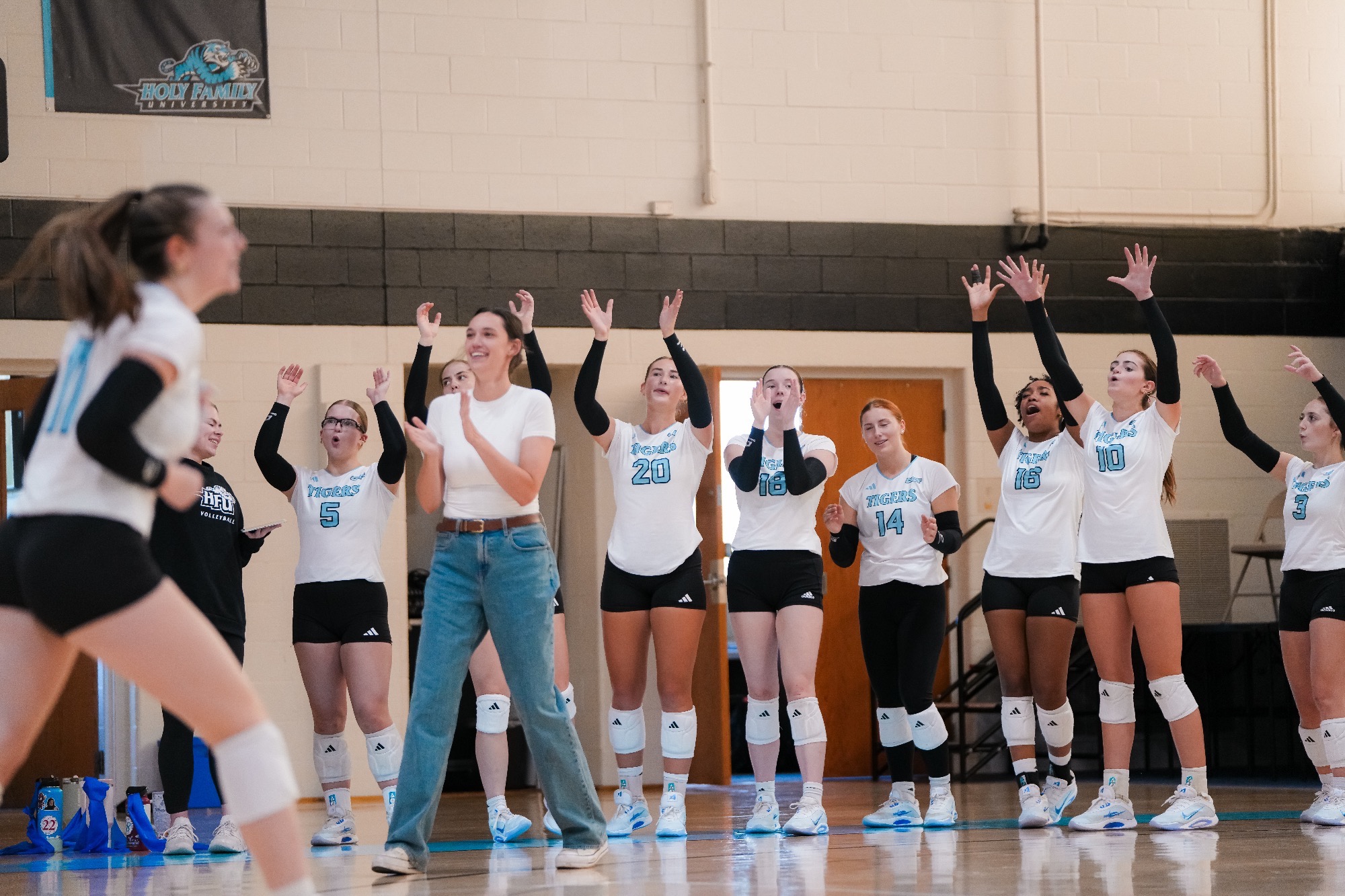 Members of the HFU Volleyball bench with their hands up, celebrating a point