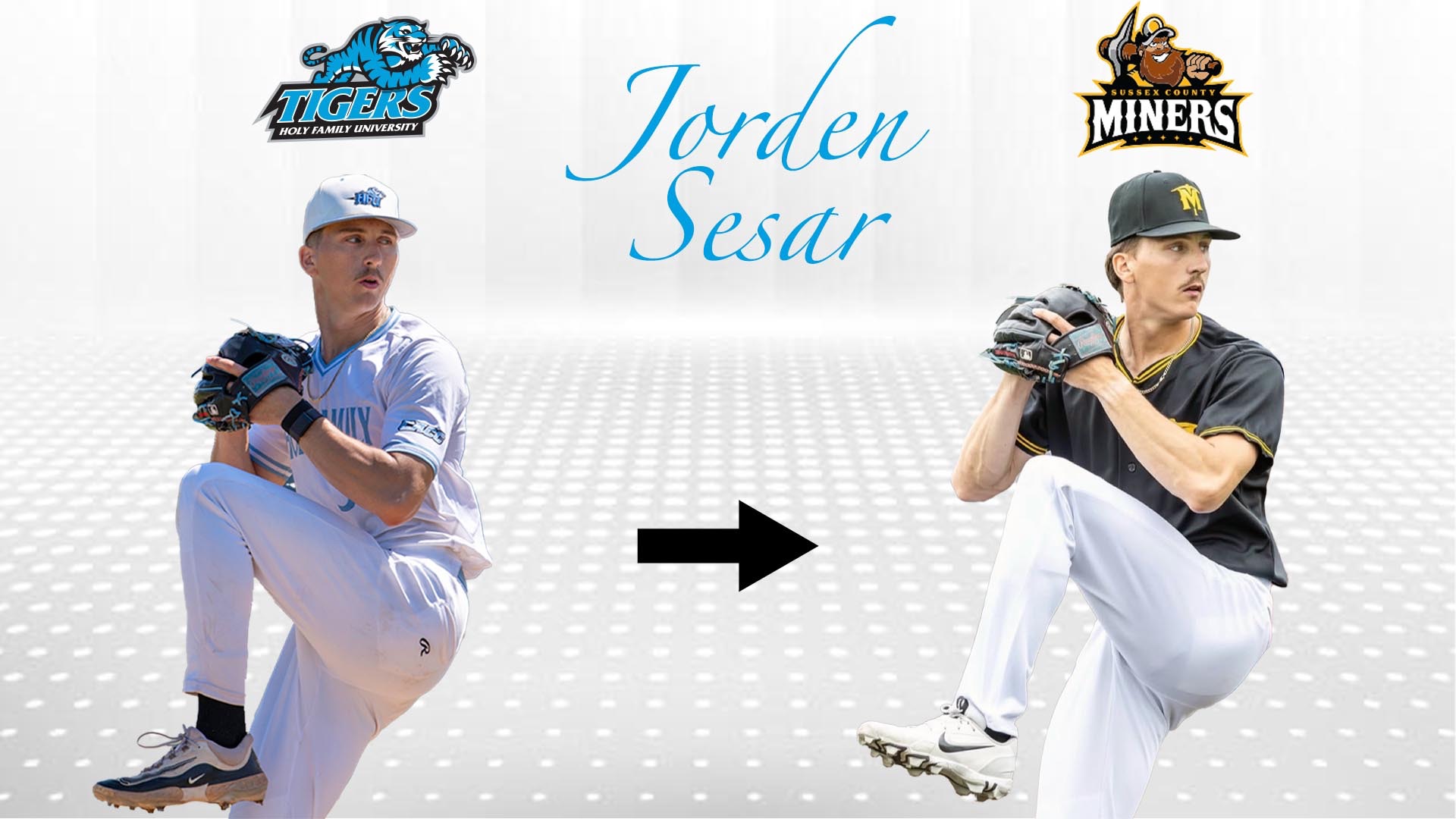 A graphic for HFU Baseball's Jorsen Sesar signing a professional contract