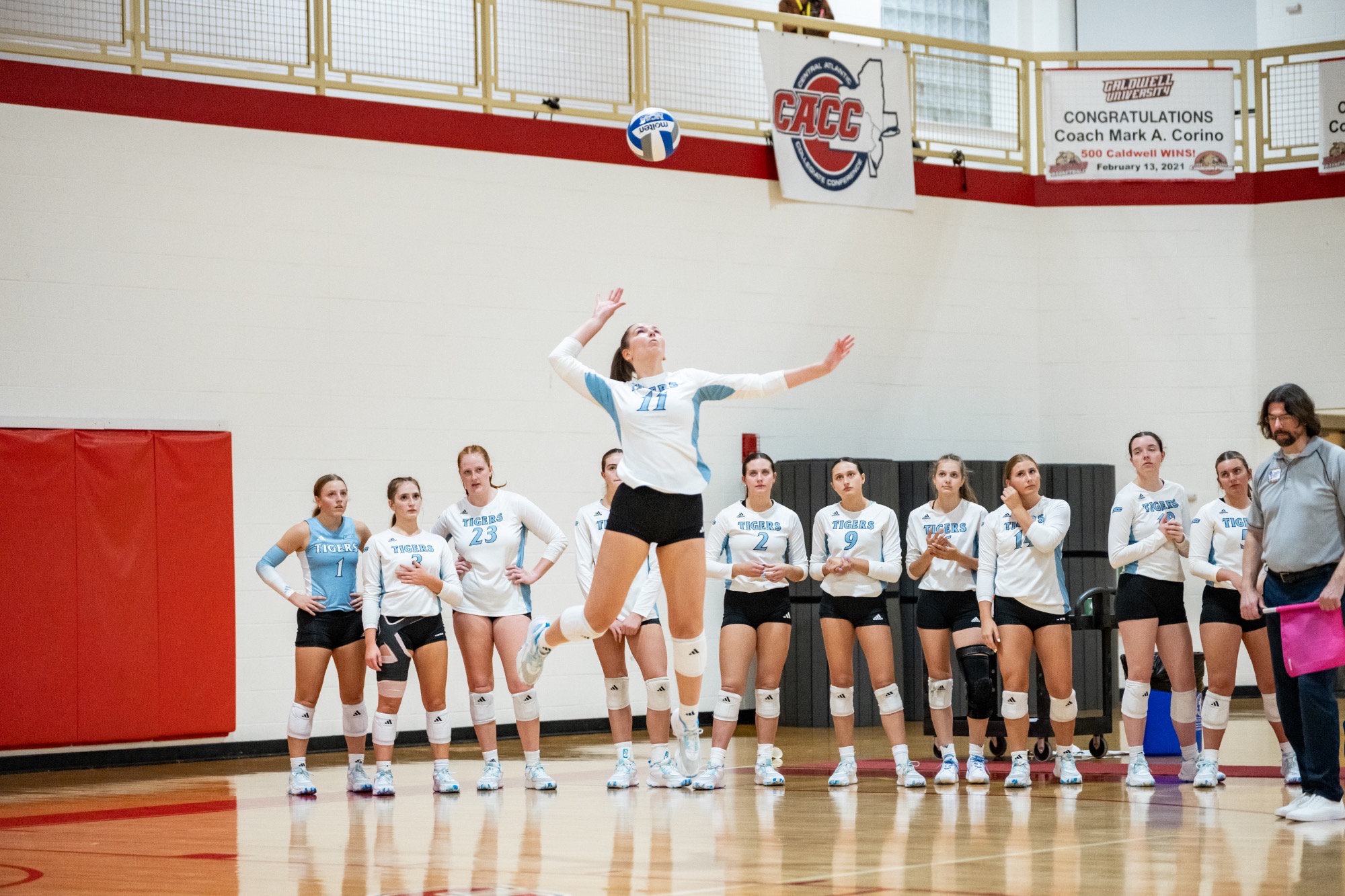 Abby Bachman jumps as she serves, the ball in the air as her teammates on the bench watch in the background