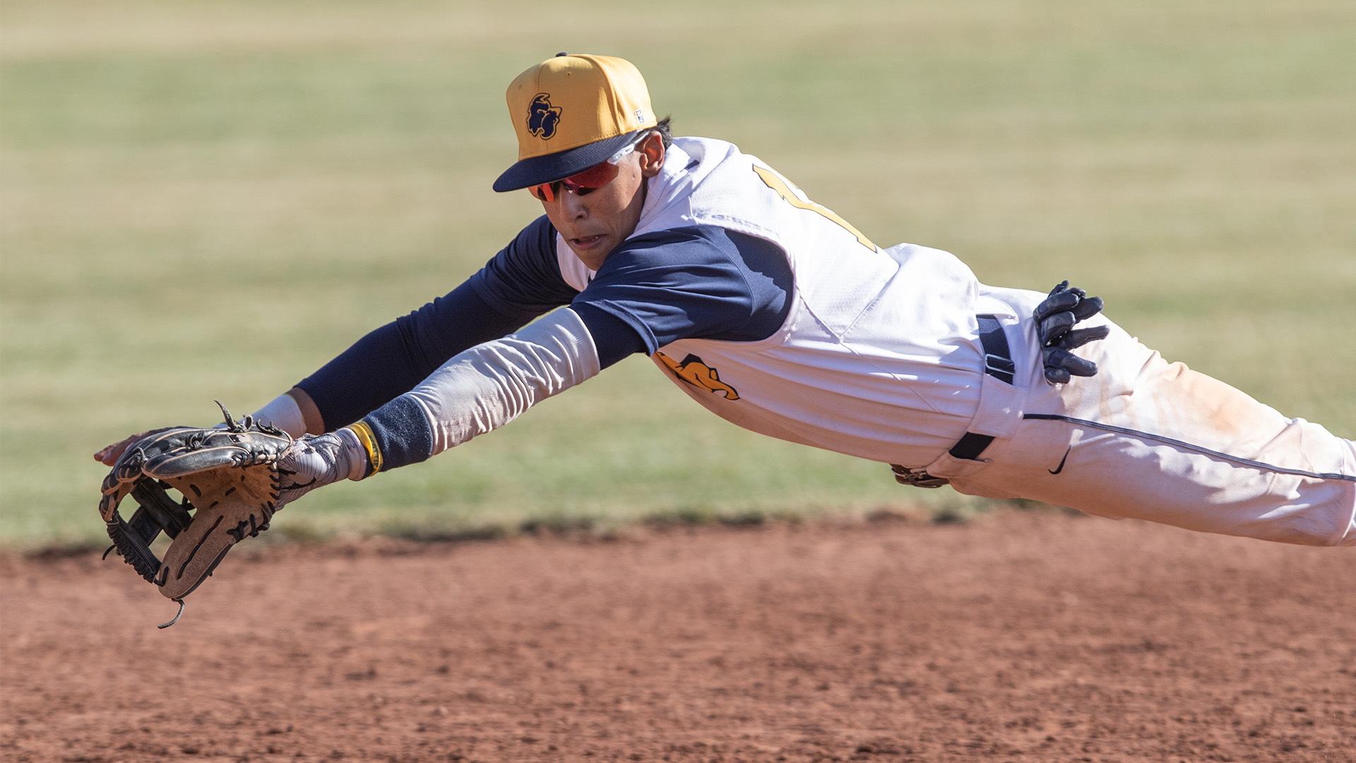 Luis Burgos Baseball Highland Community College Athletics
