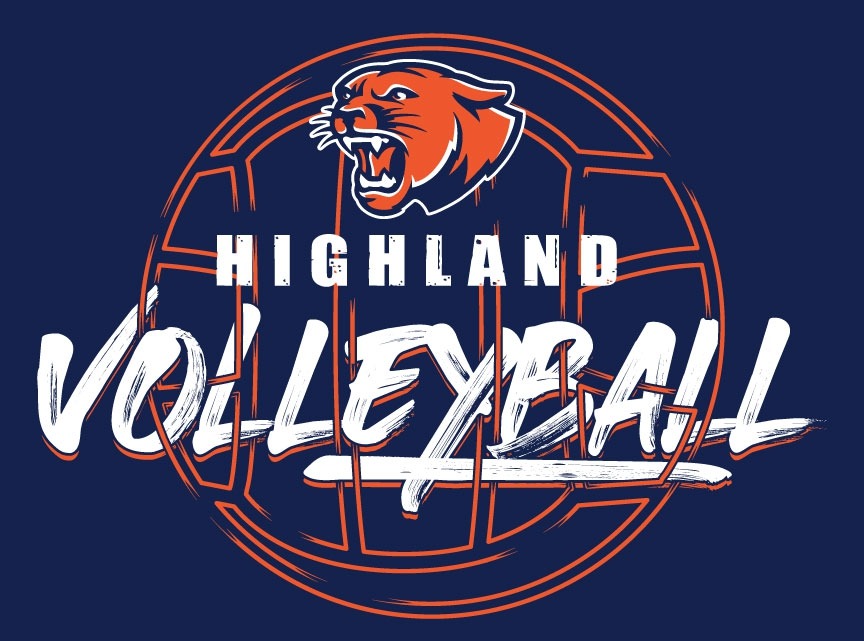 Volleyball Logo