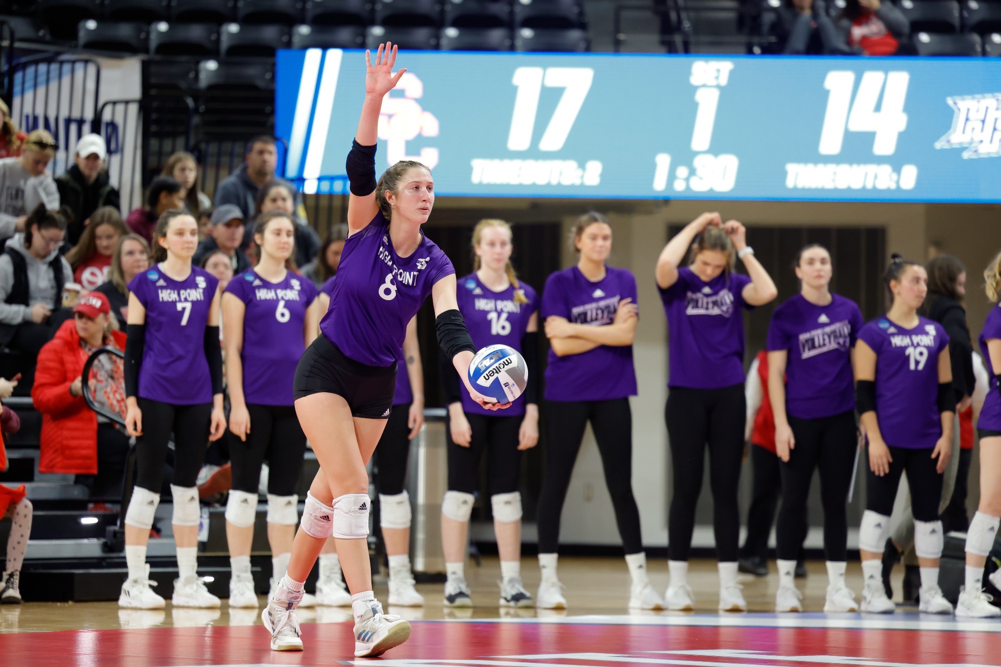 Palazzolo Pins AVCA All Region Honors High Point University Athletics
