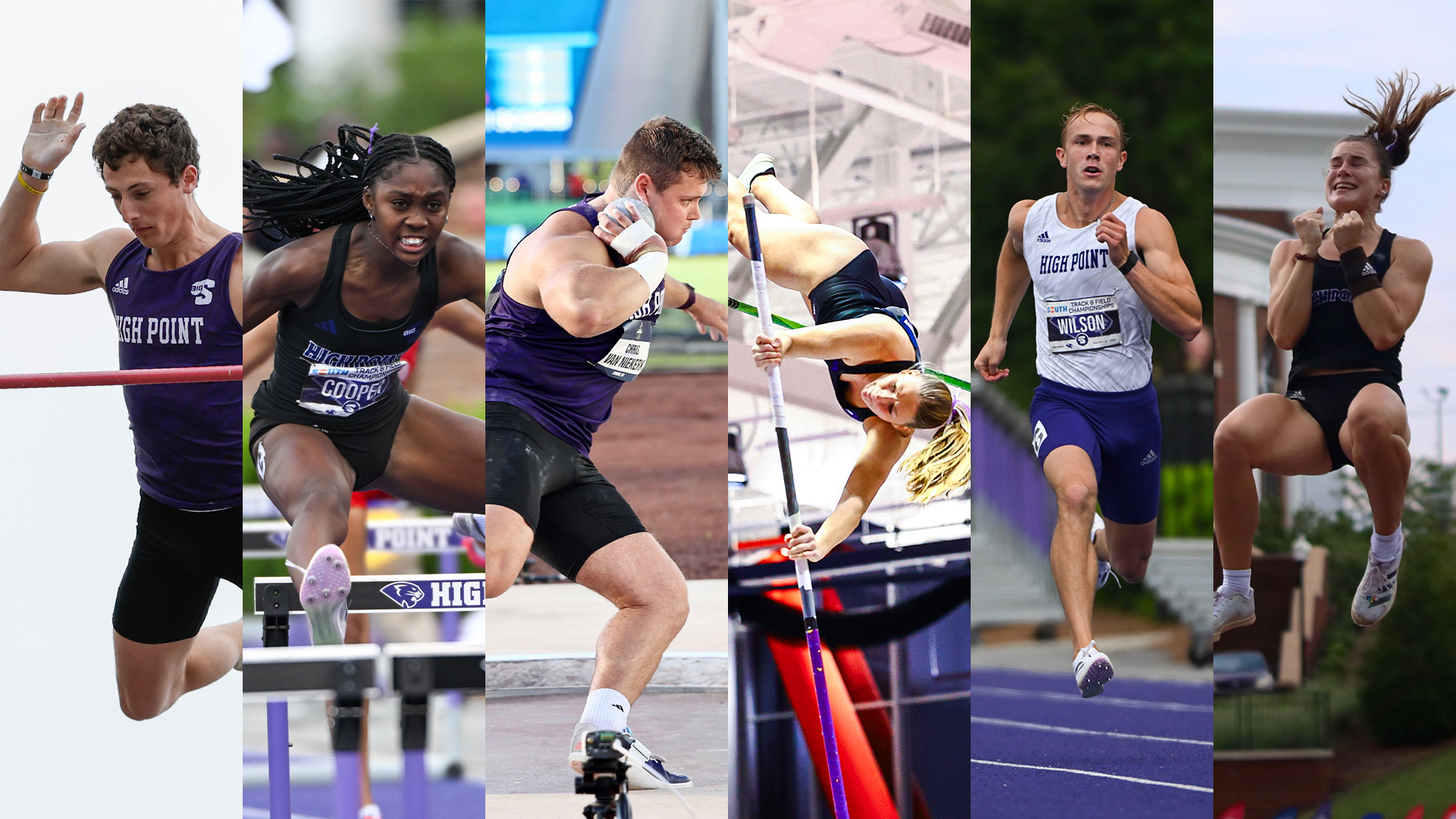 Alter g shorts online