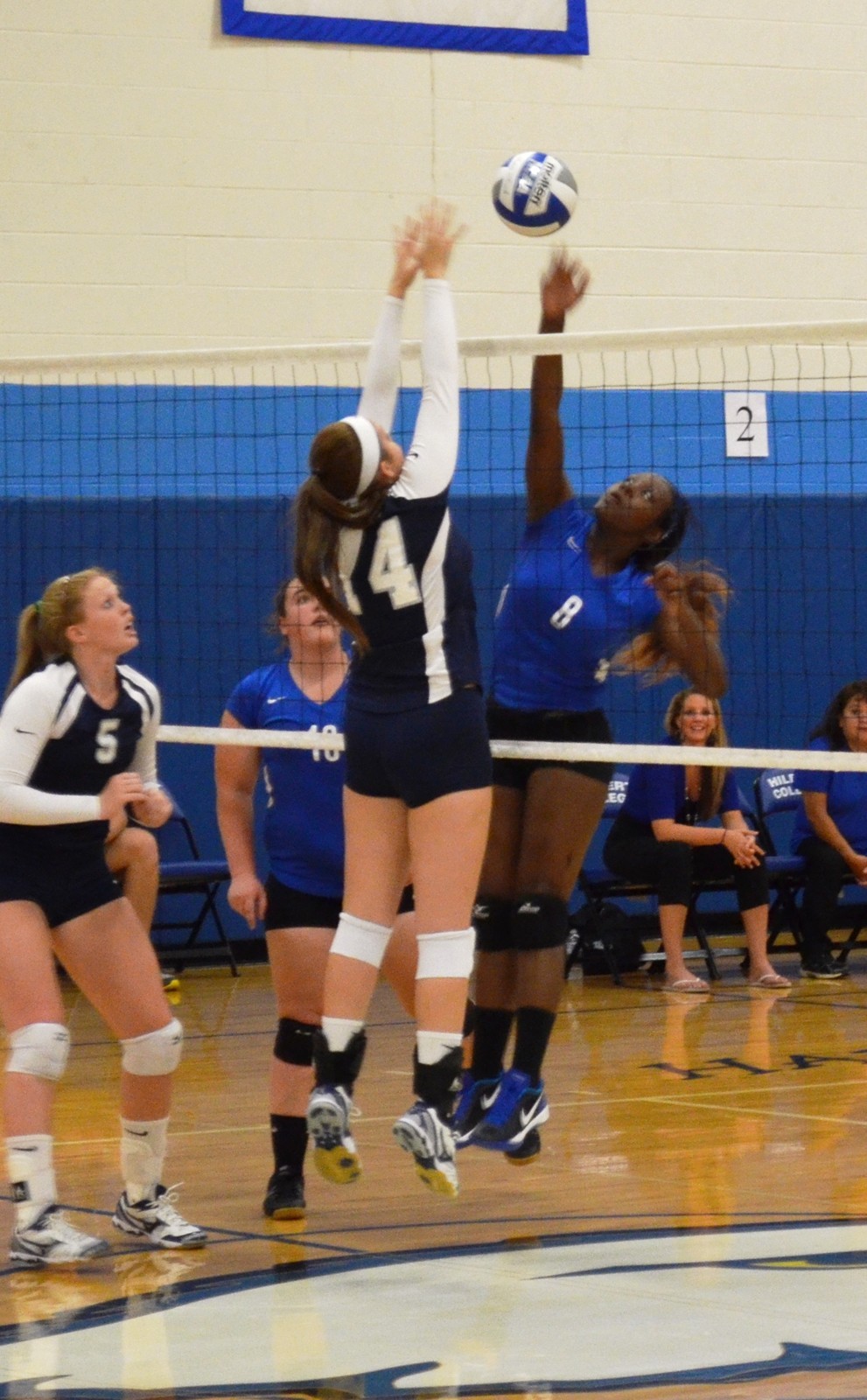 Allegra Johnson Women's Volleyball Hilbert College Athletics